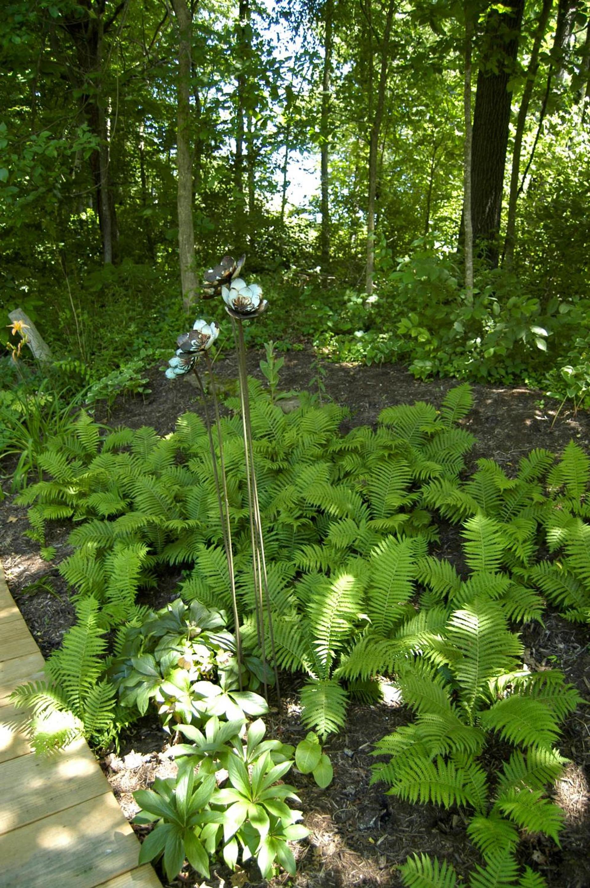 La grace de Dieu photo 83