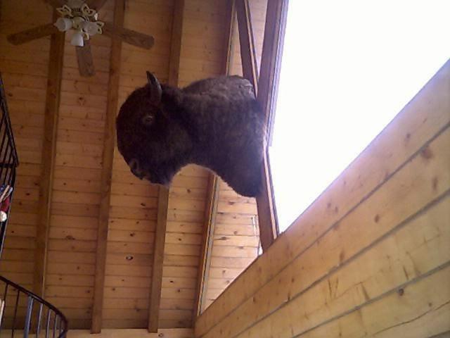 Alaska Adventure Cabins photo 76