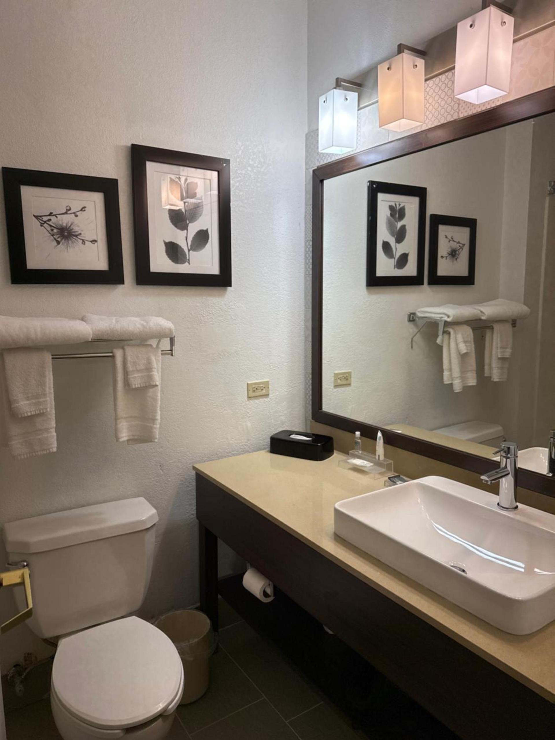 Country Inn & Suites by Radisson, Elgin, IL photo 29