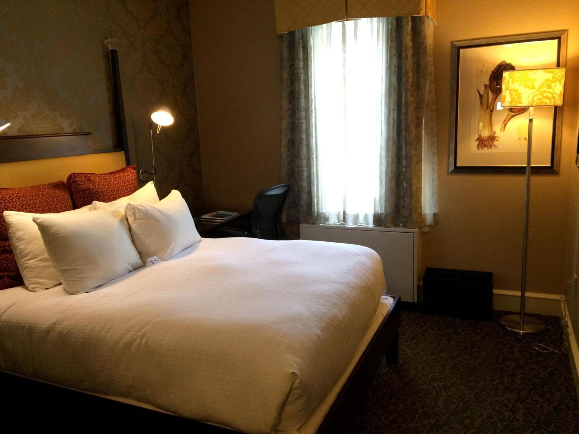 Chestnut Hill Hotel photo 28