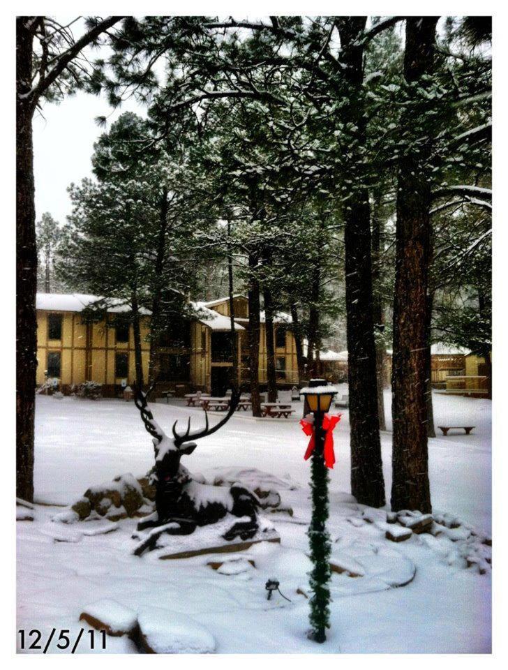 Village Lodge photo 16