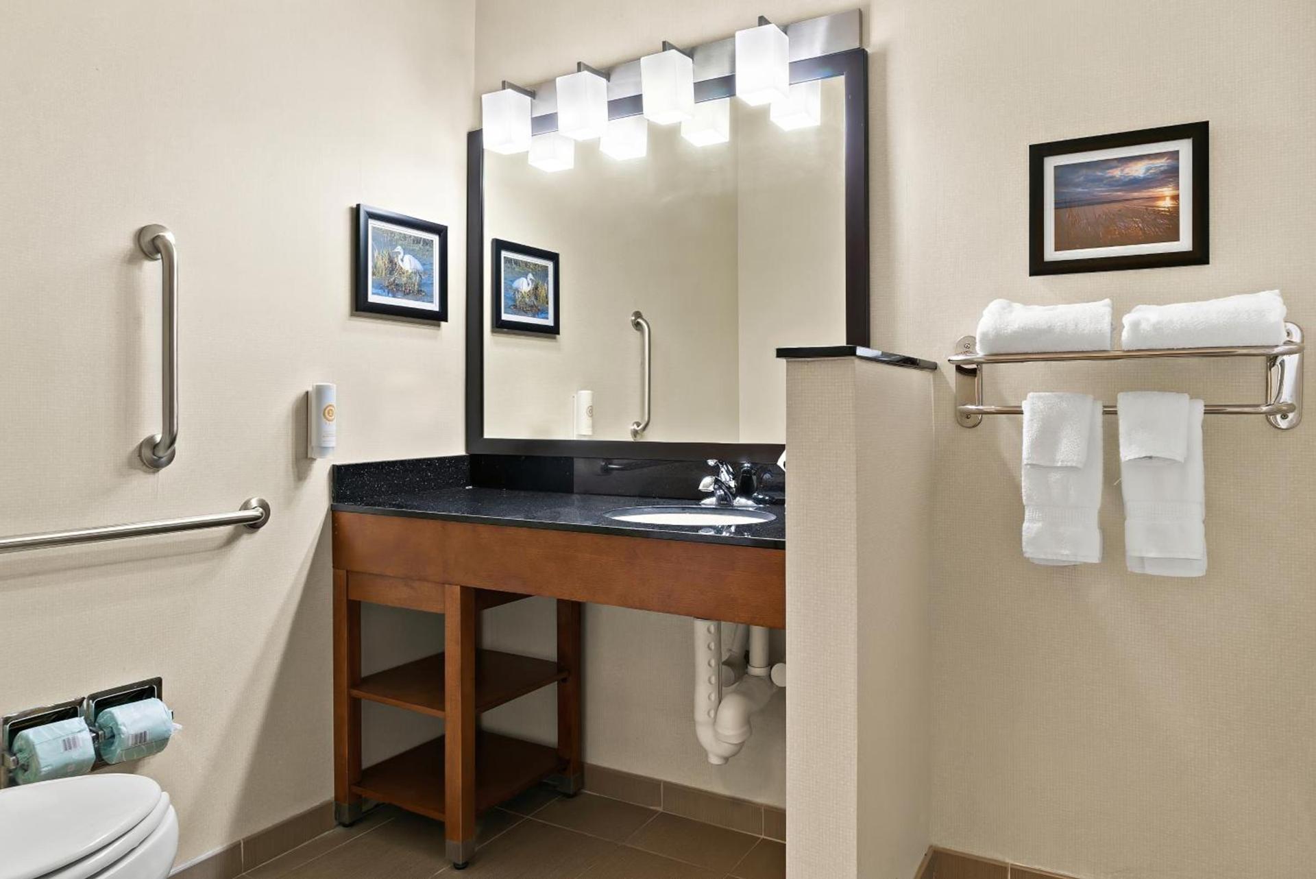 Comfort Suites- Saginaw photo 17