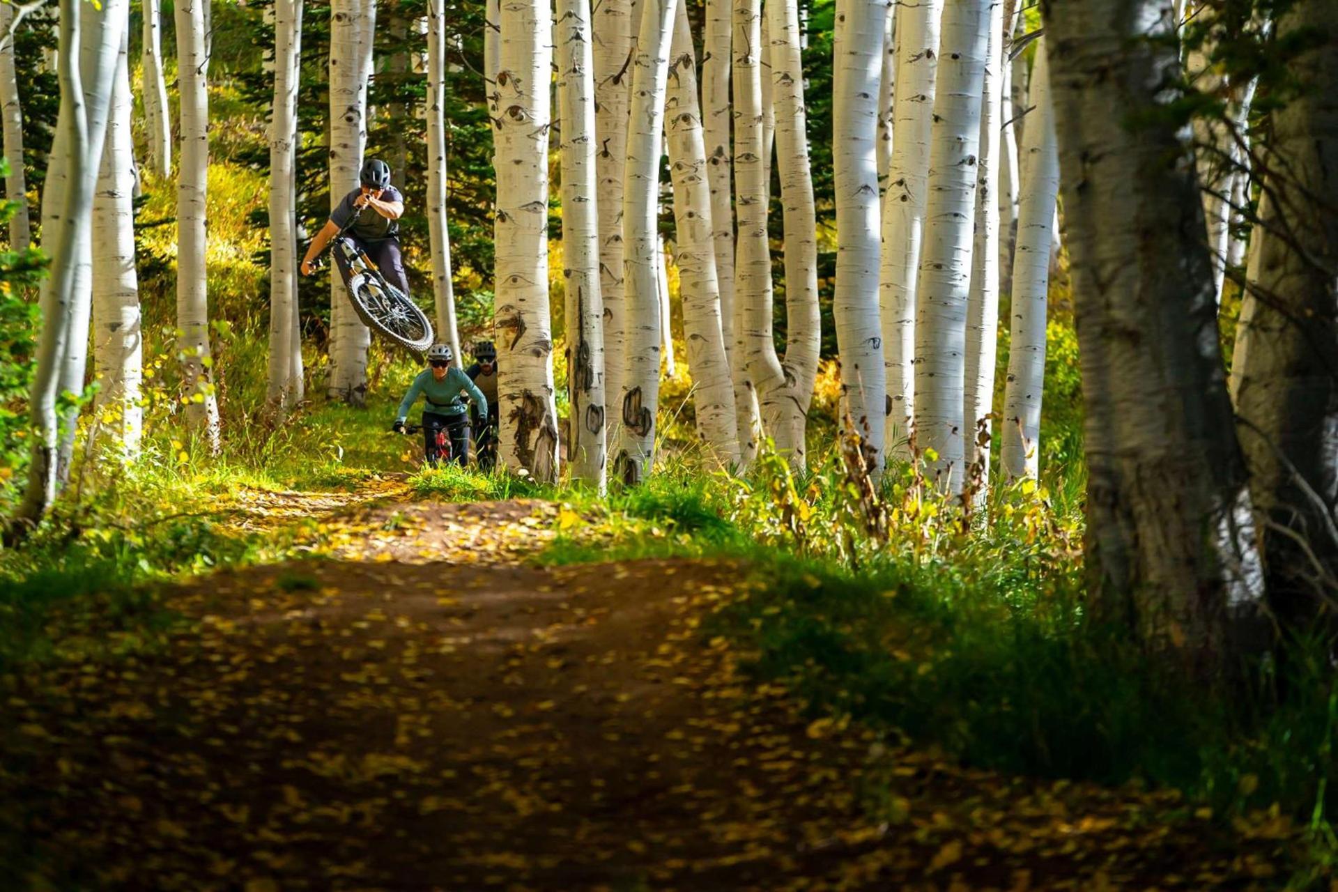 Grand Hyatt Deer Valley photo 59