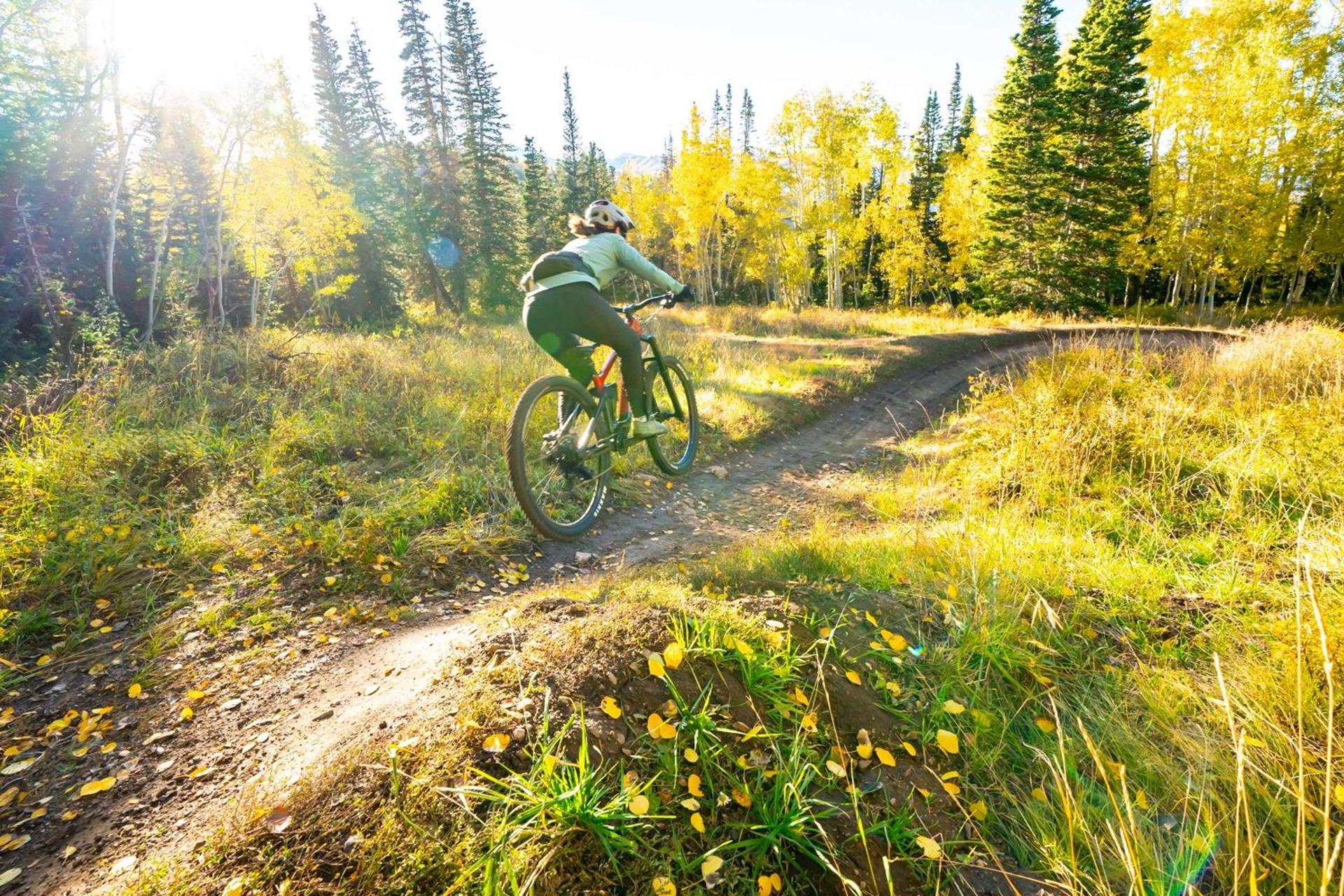 Grand Hyatt Deer Valley photo 61
