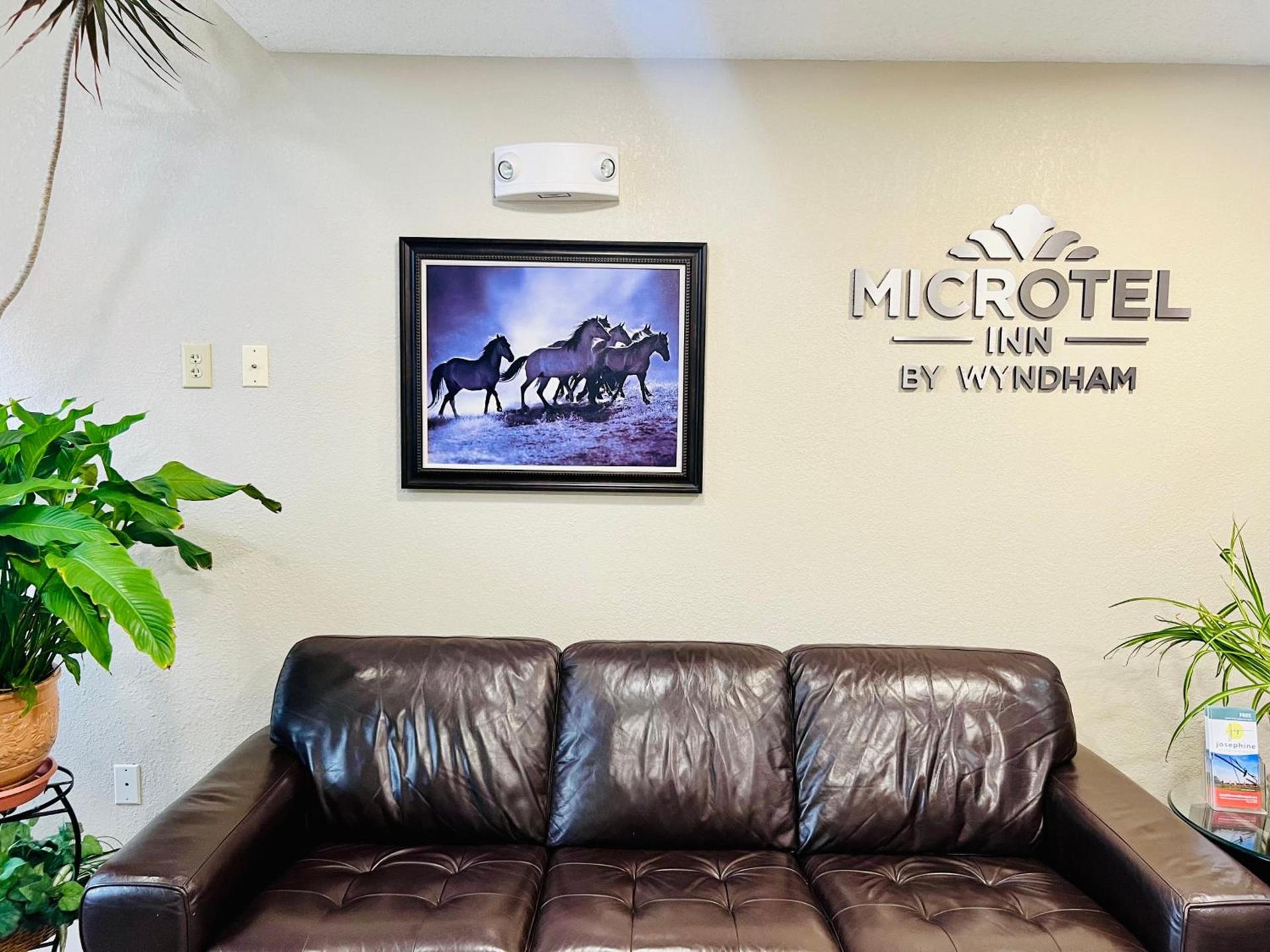 Microtel Inn Georgetown - Lexington North photo 4