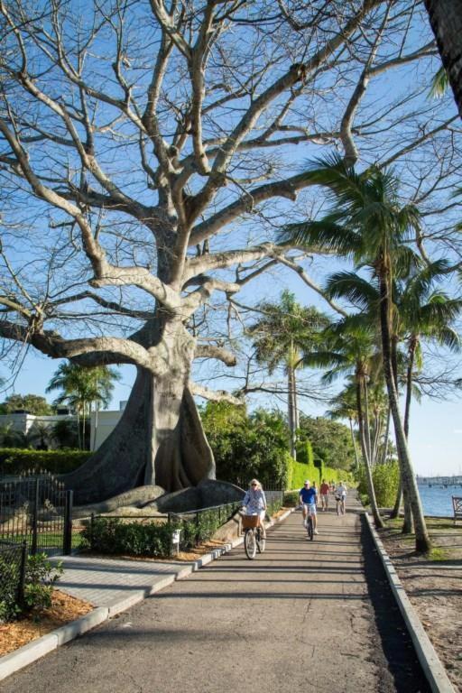 Palm Beach Hotel photo 6