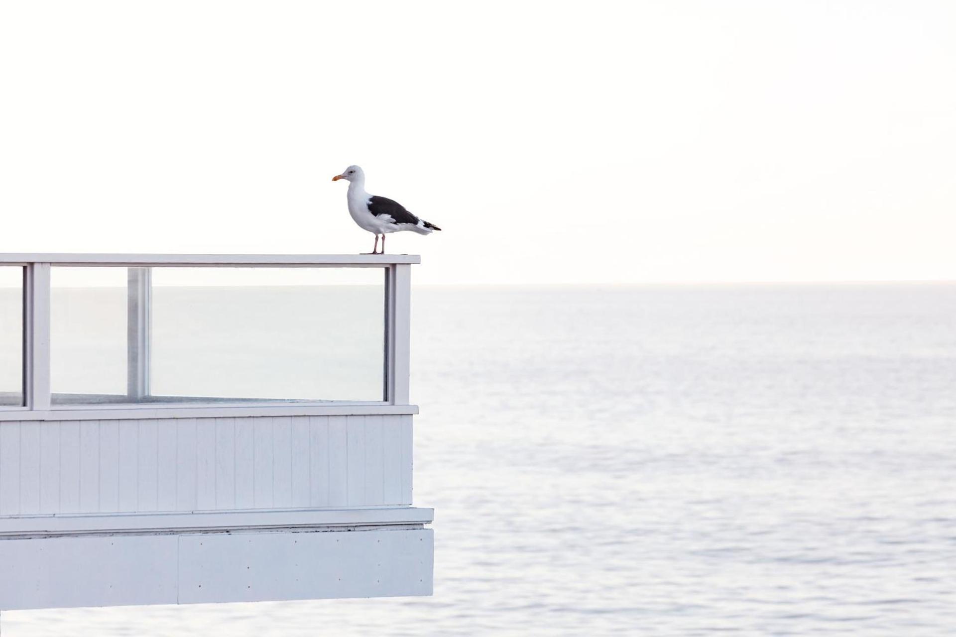 Pacific Edge Hotel photo 91