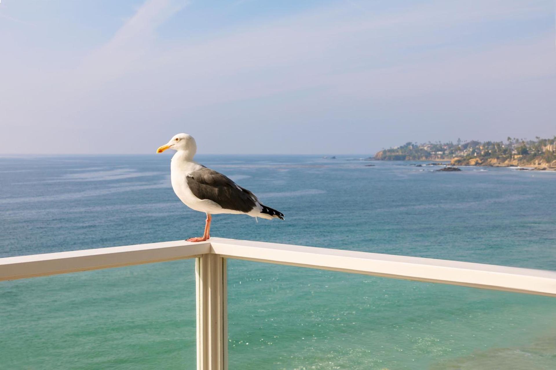 Pacific Edge Hotel photo 93