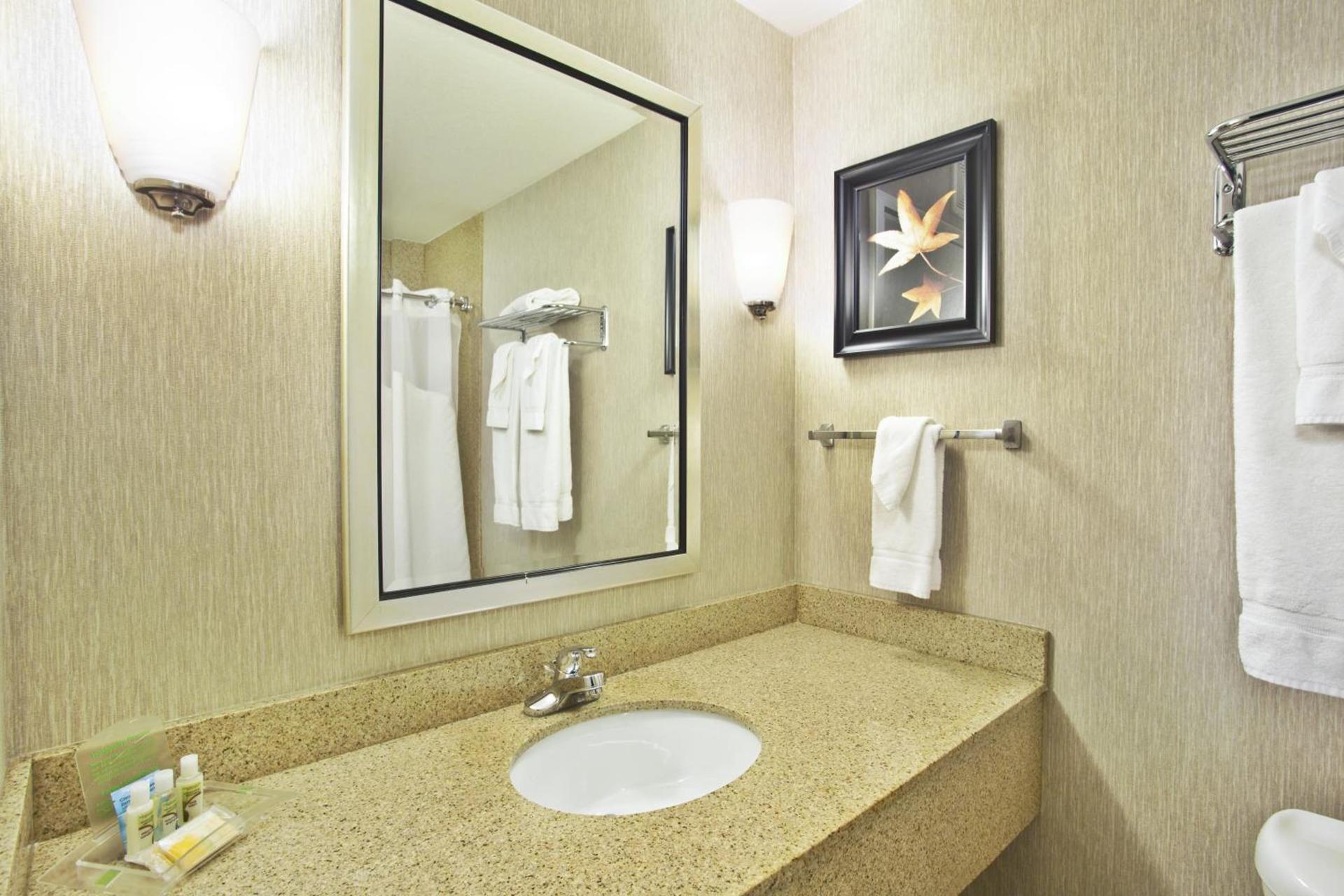 Holiday Inn & Suites Green Bay Stadium by IHG photo 2