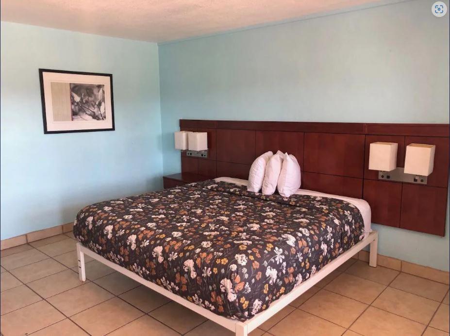 Economy Suites photo 17