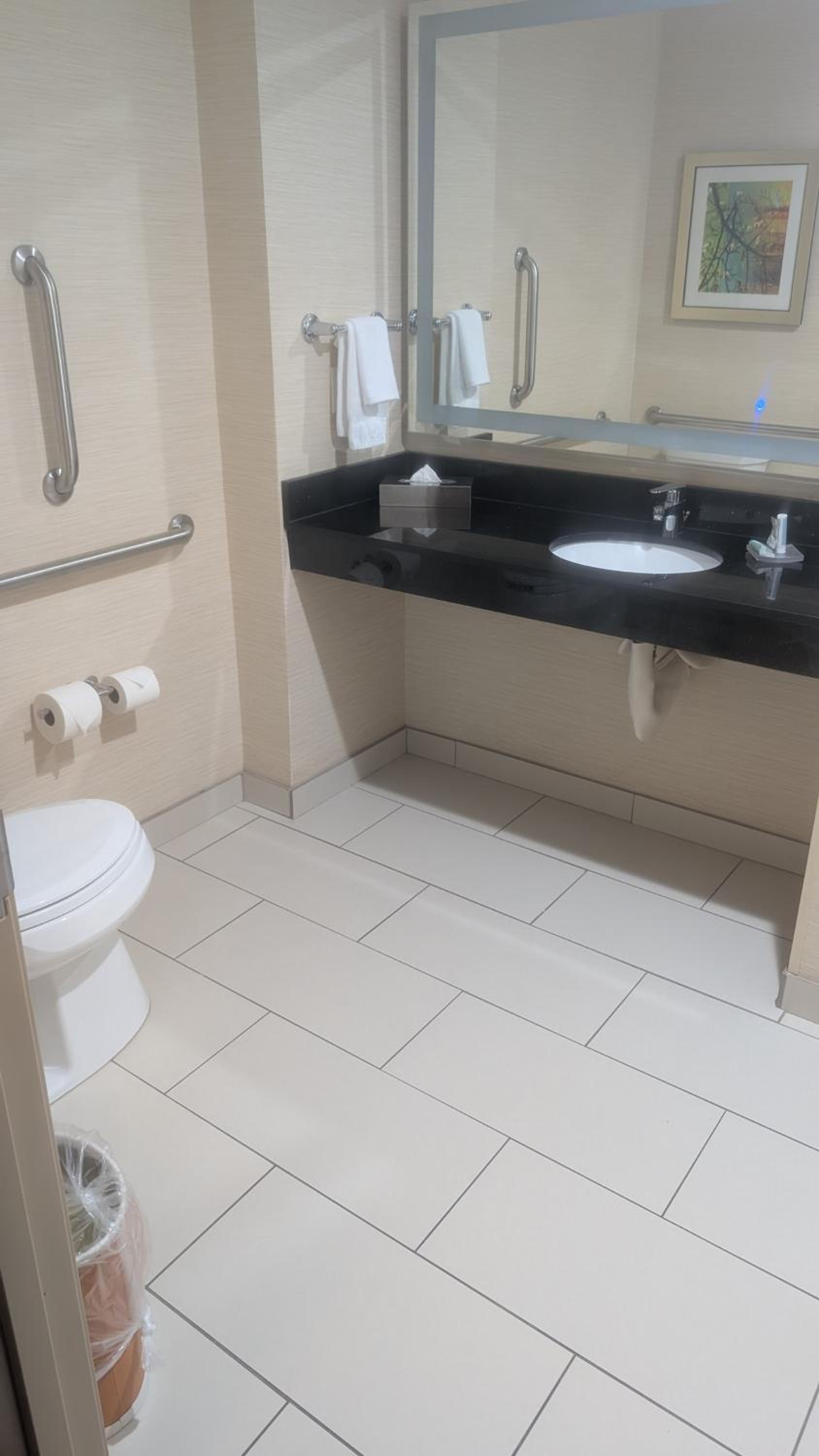 Fairfield Inn & Suites by Marriott Detroit Troy photo 38