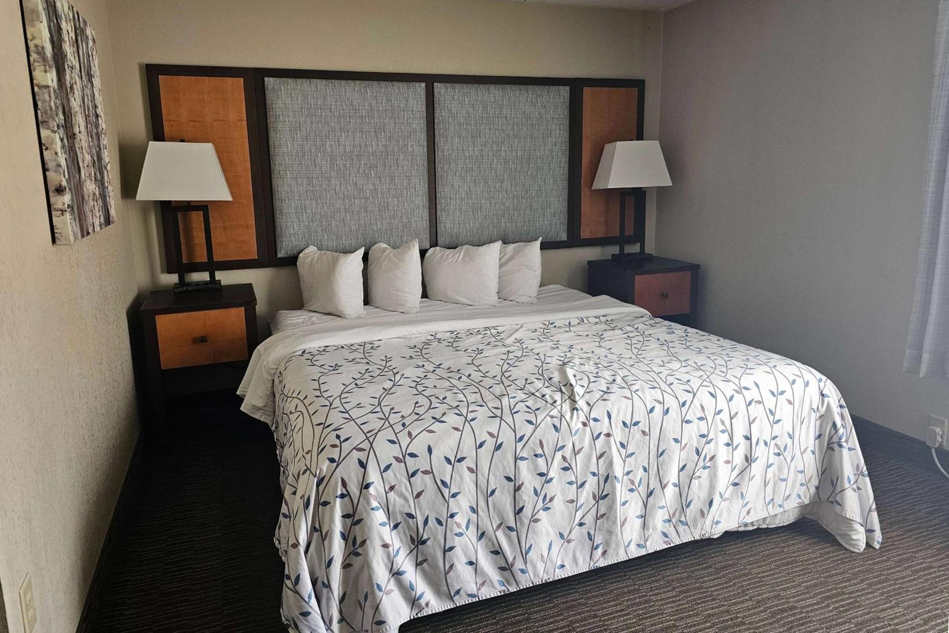 Americinn by Wyndham Birch Run - Frankenmuth photo 9