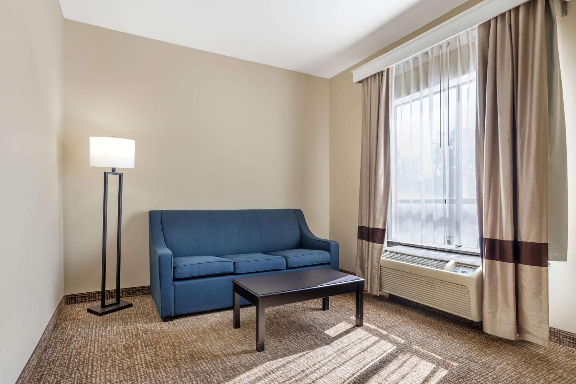 Comfort Suites Old Town Spring photo 23