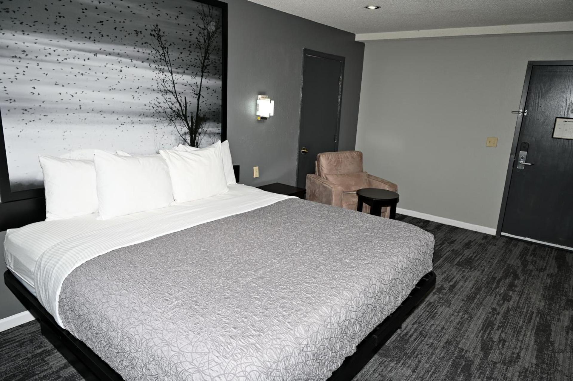 Super 8 by Wyndham Higginsville photo 13