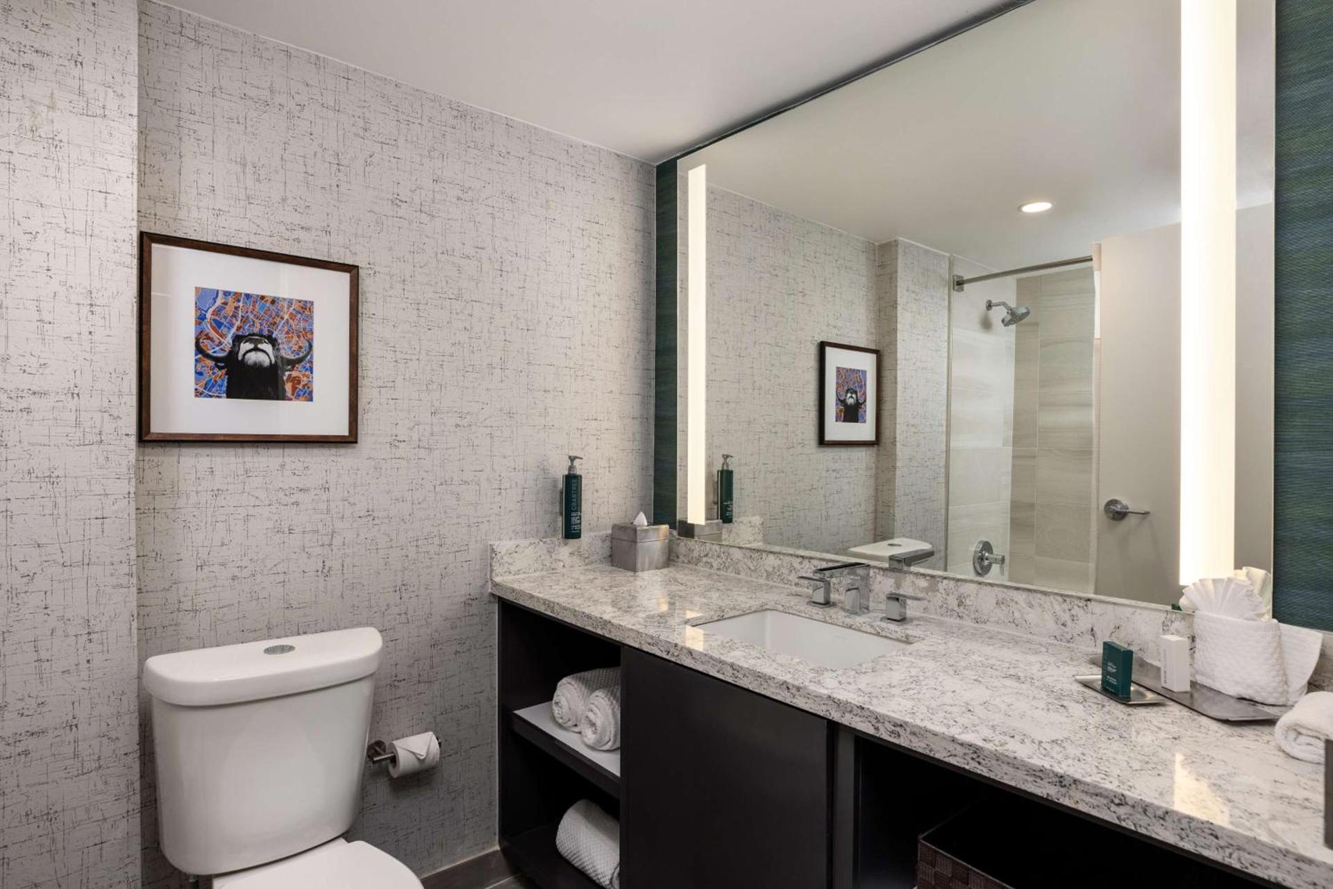 DoubleTree Suites by Hilton Austin Downtown Capitol photo 49