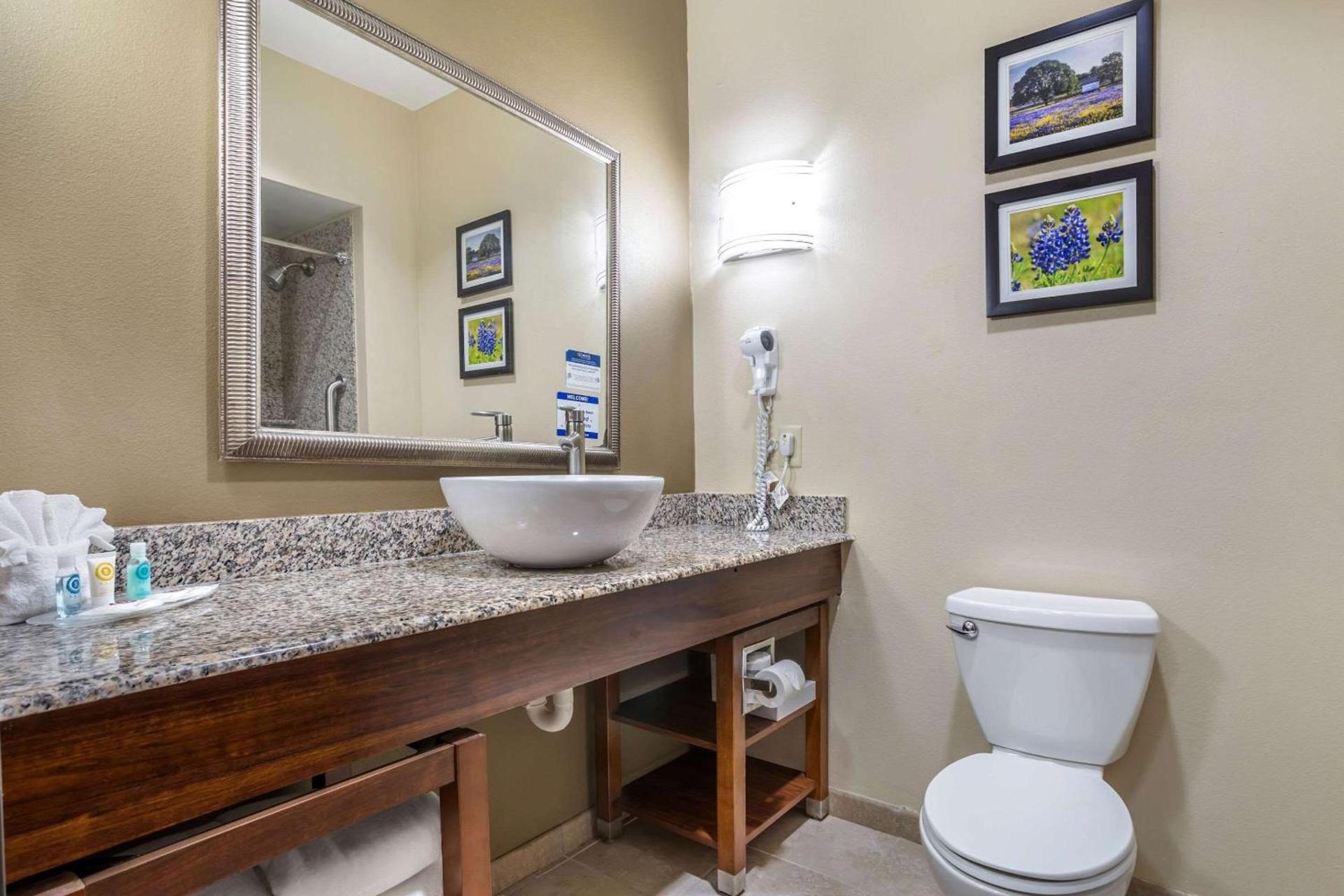 Comfort Suites Old Town Spring photo 17