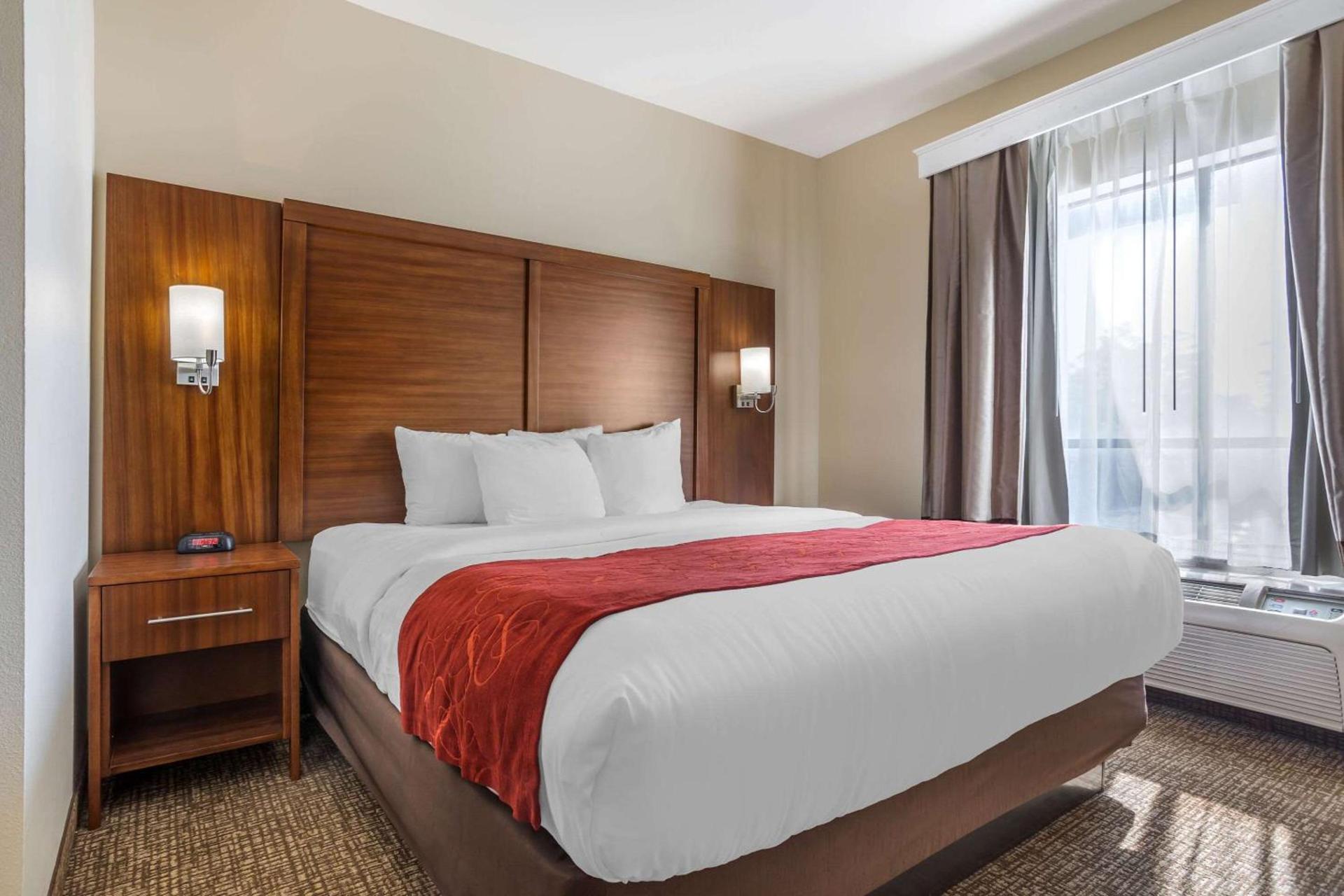 Comfort Suites Old Town Spring photo 18