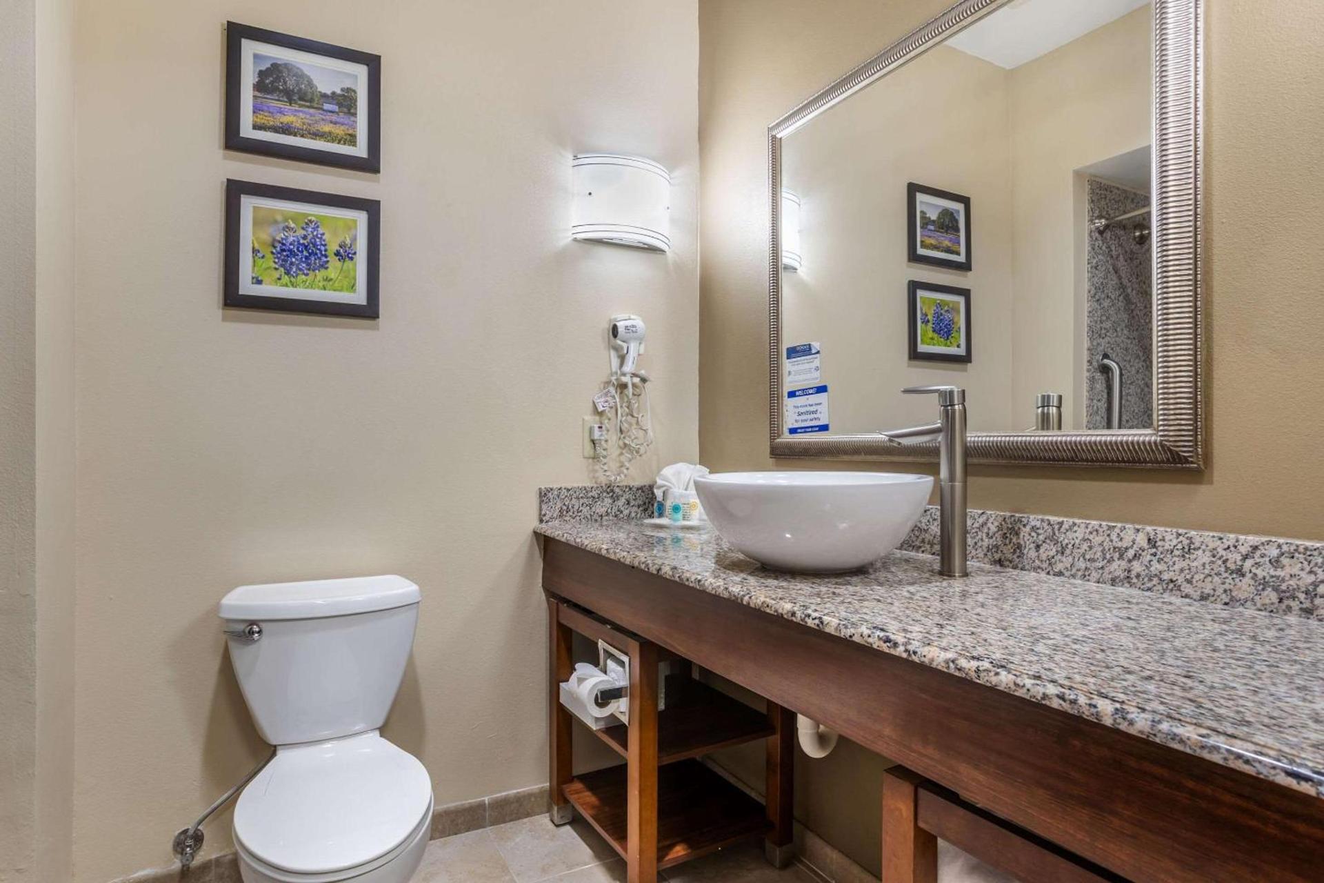 Comfort Suites Old Town Spring photo 21