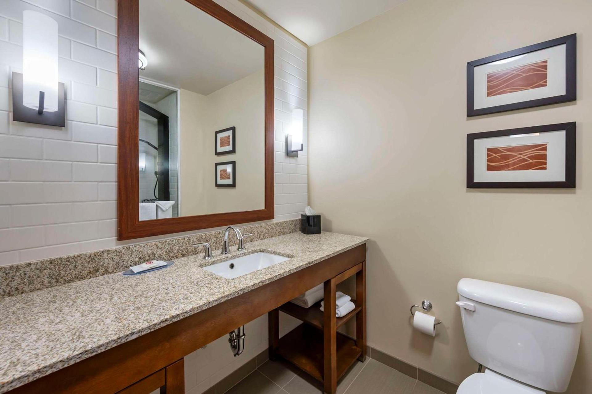Comfort Inn & Suites photo 15