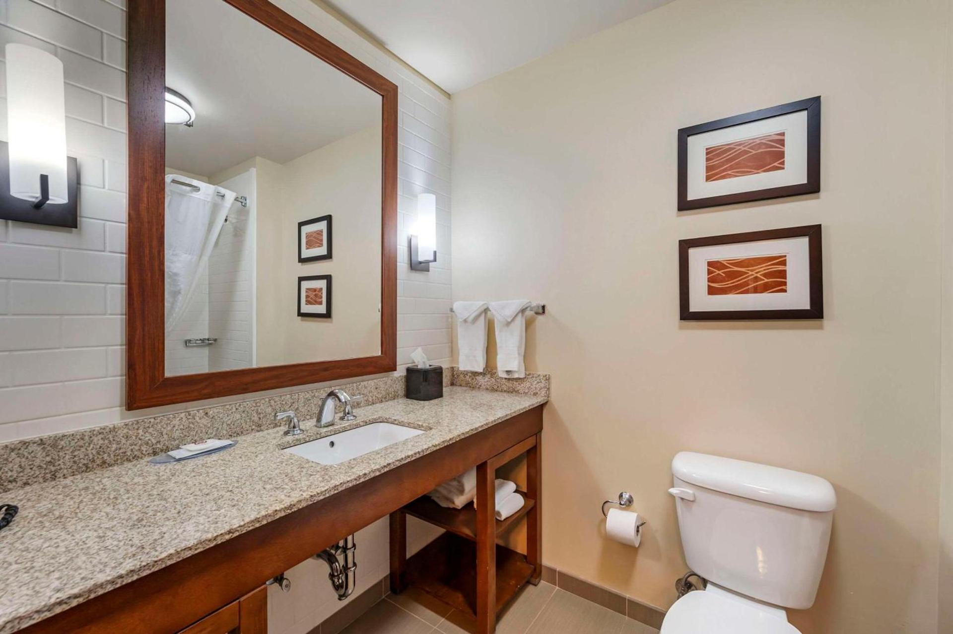 Comfort Inn & Suites photo 19