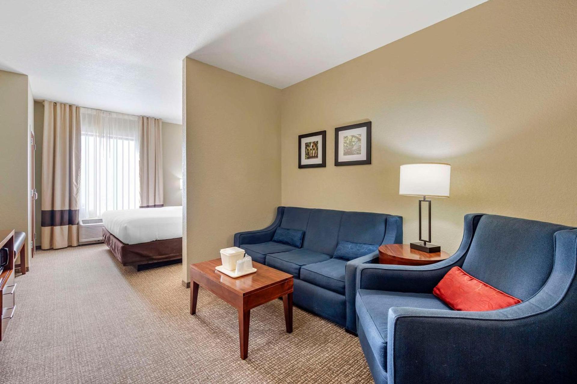 Comfort Inn & Suites photo 25