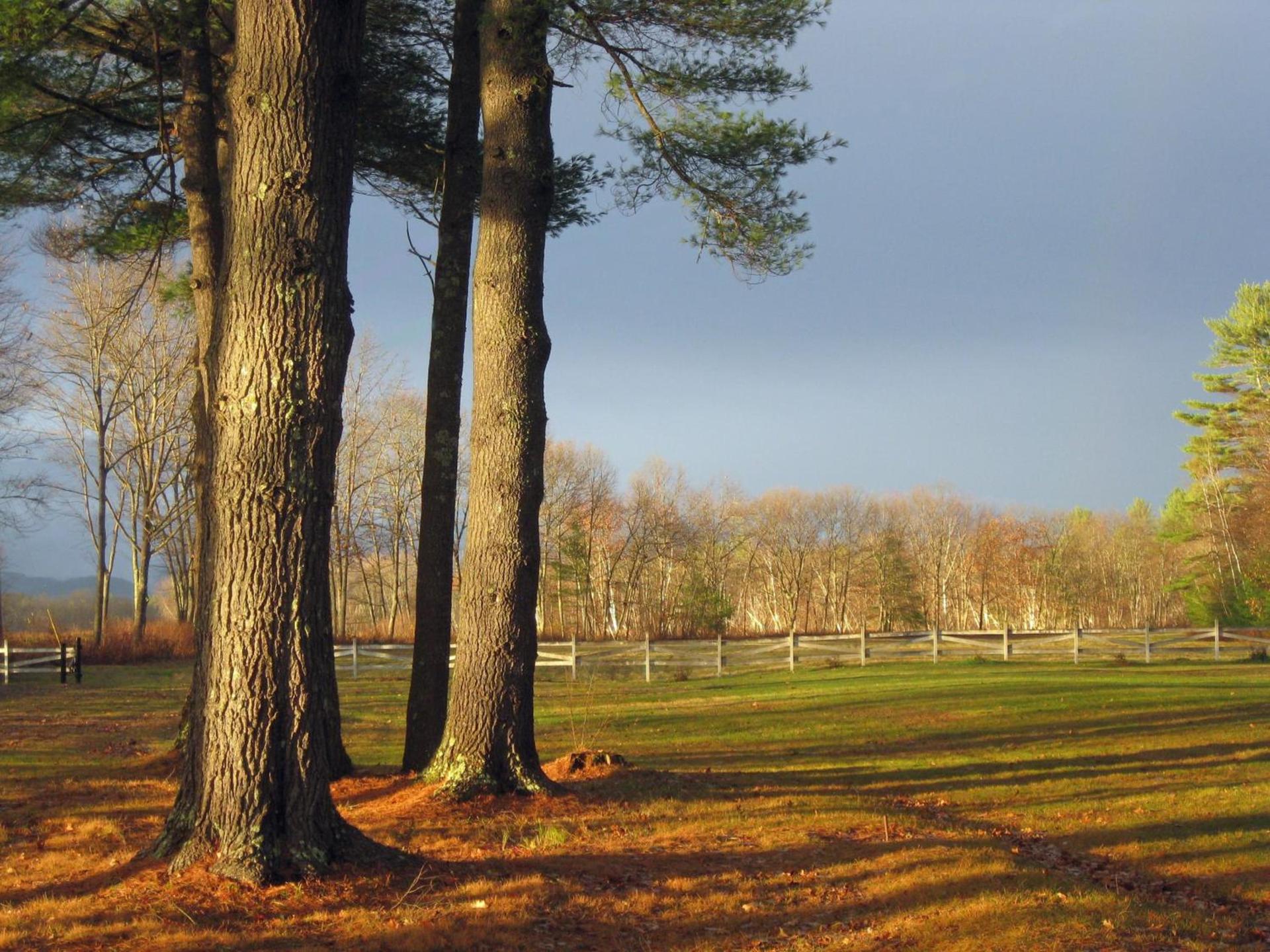 Old Saco Inn photo 36