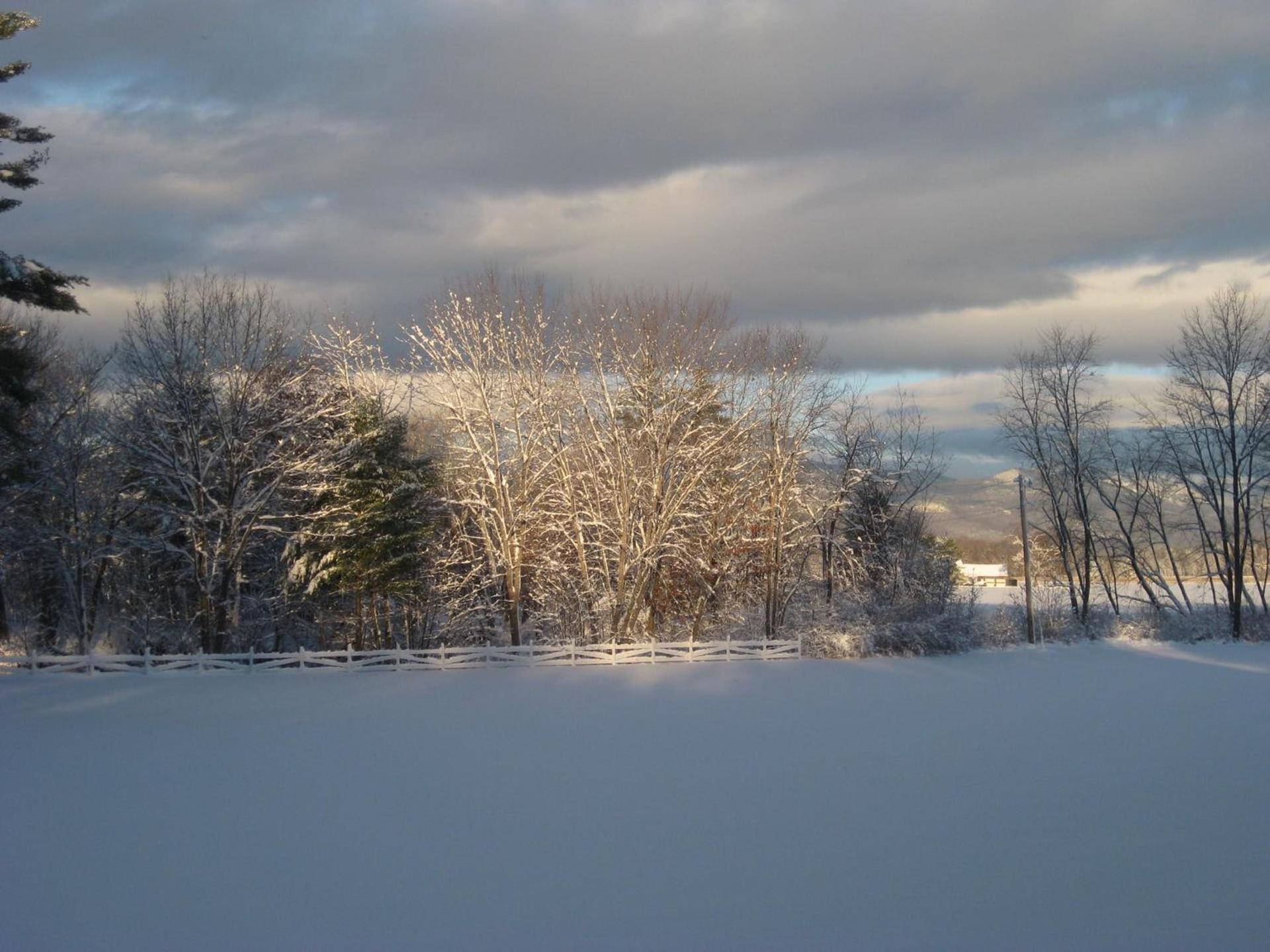 Old Saco Inn photo 12