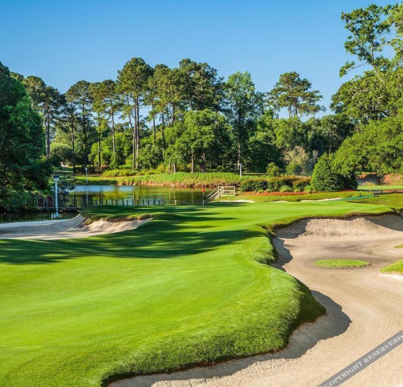 True Blue Golf Resort photo 10