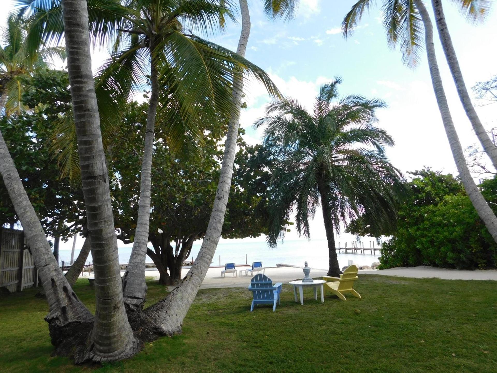 Pines & Palms Resort photo 27