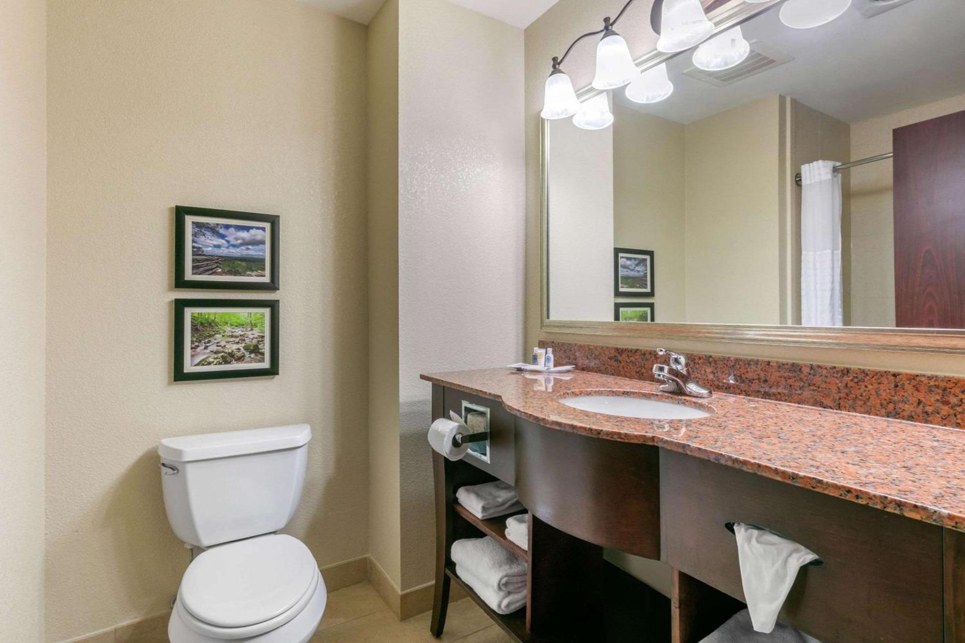 Comfort Suites Forrest City photo 10
