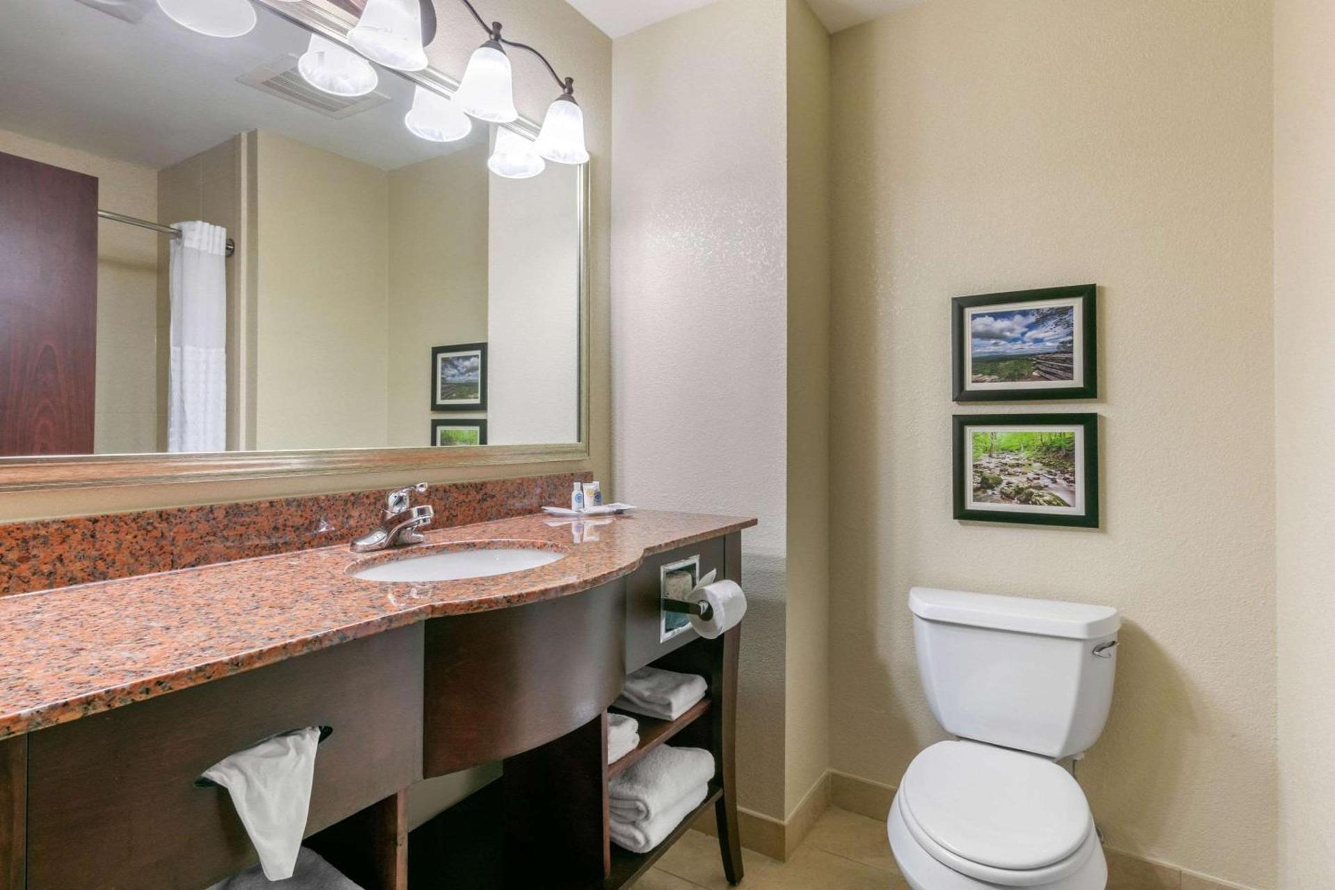 Comfort Suites Forrest City photo 30