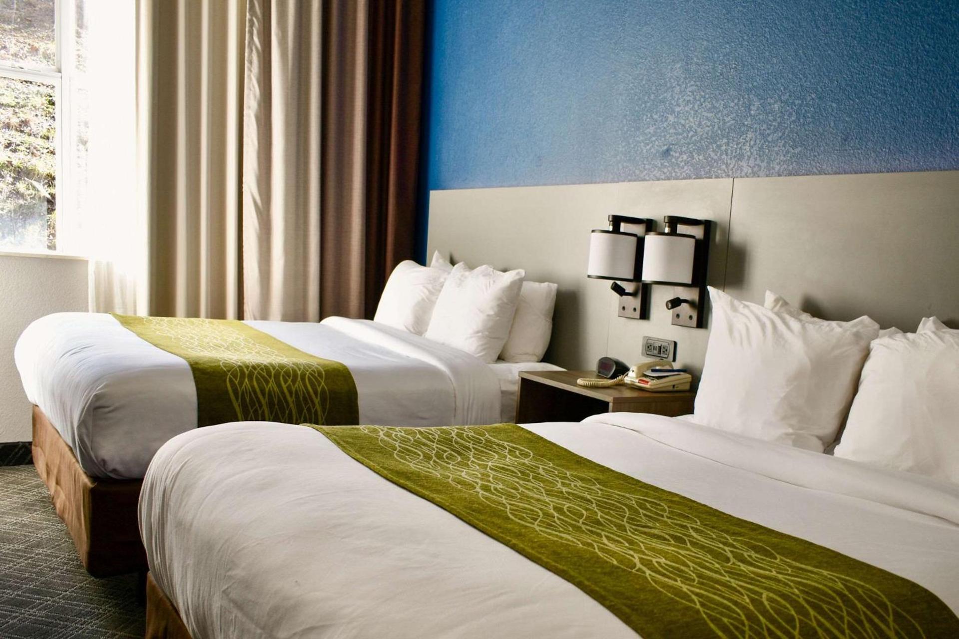 Comfort Inn & Suites Cartersville - Emerson Lake Point photo 16