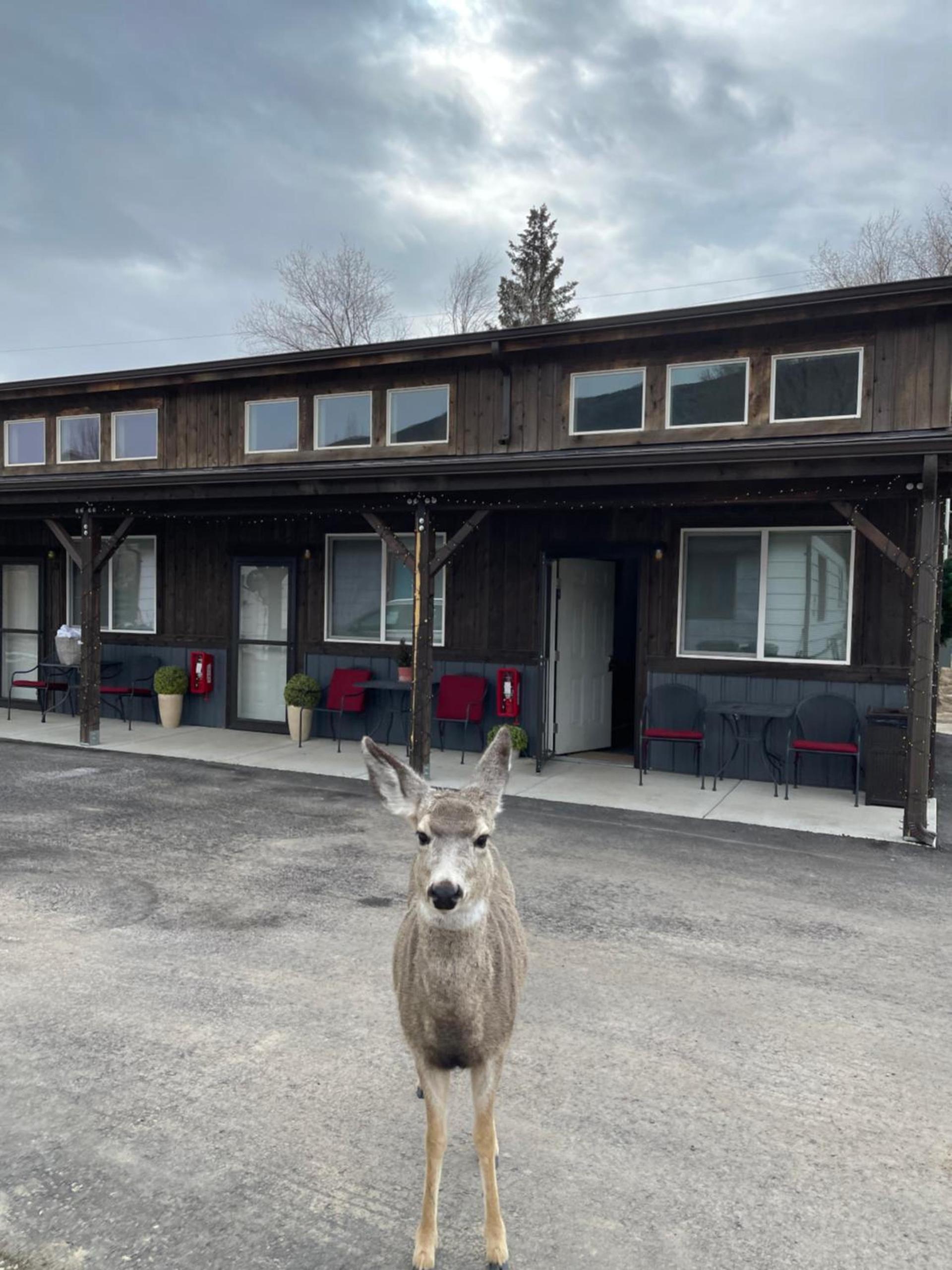 Corral Villas Yellowstone photo 1