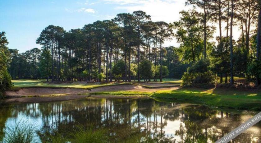 True Blue Golf Resort photo 38