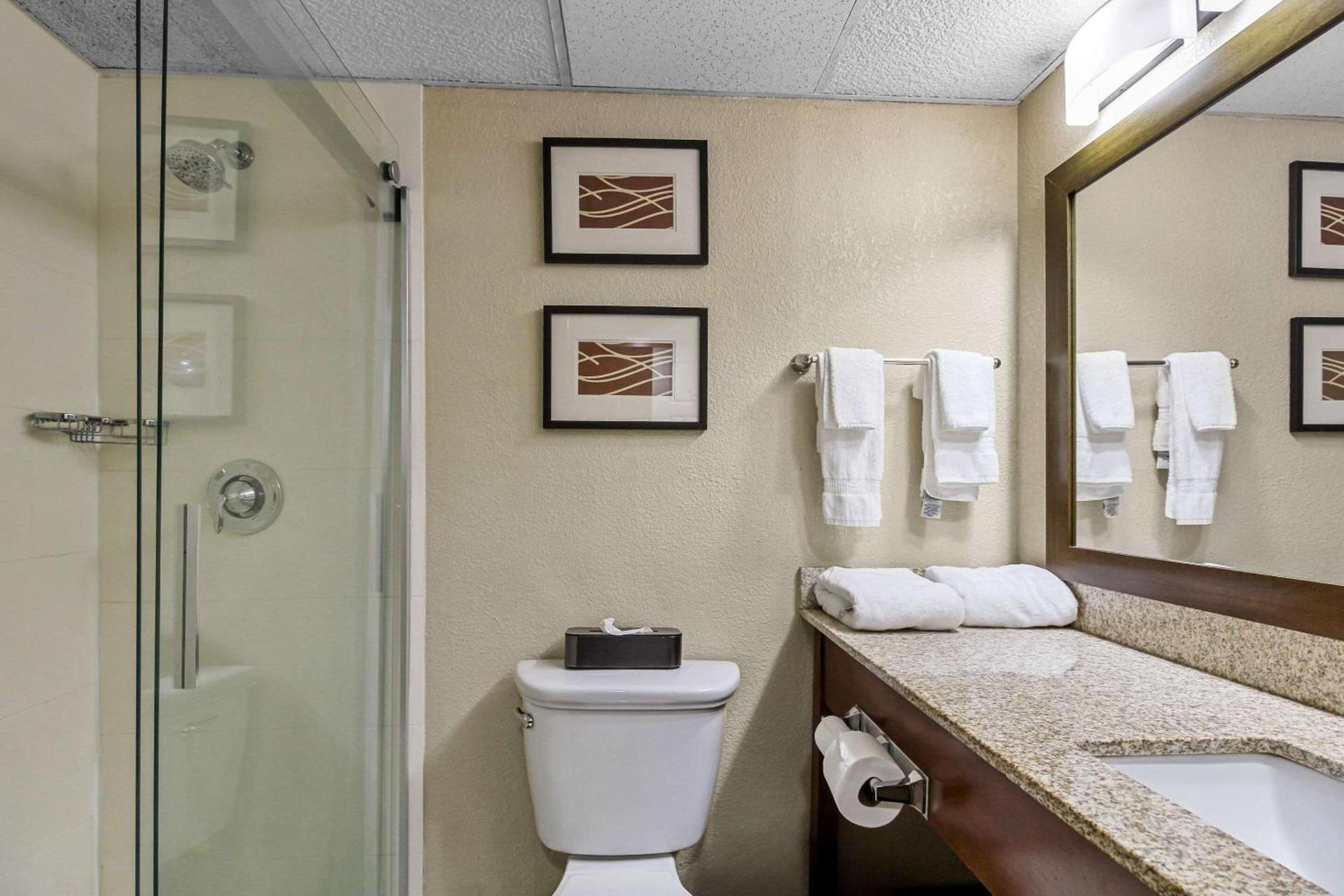 Comfort Inn Cranberry Twp photo 17