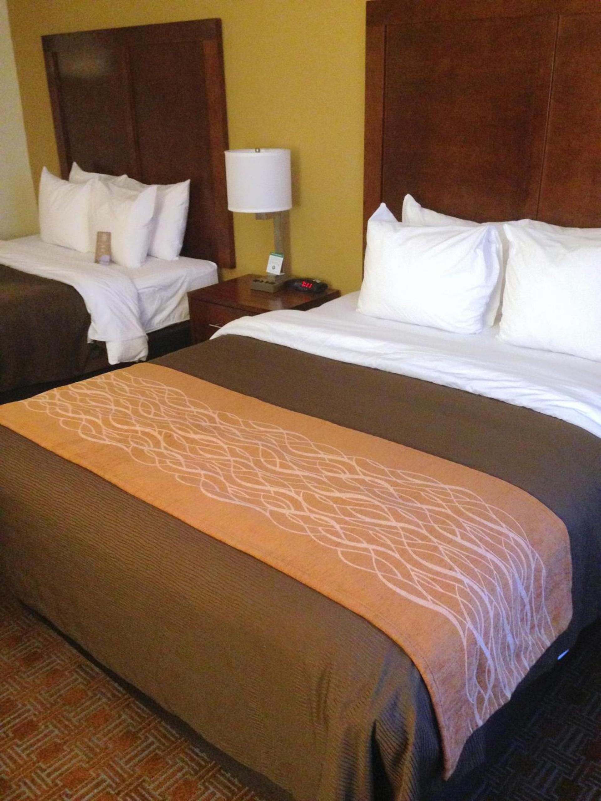 Comfort Inn & Suites Brattleboro I-91 photo 17