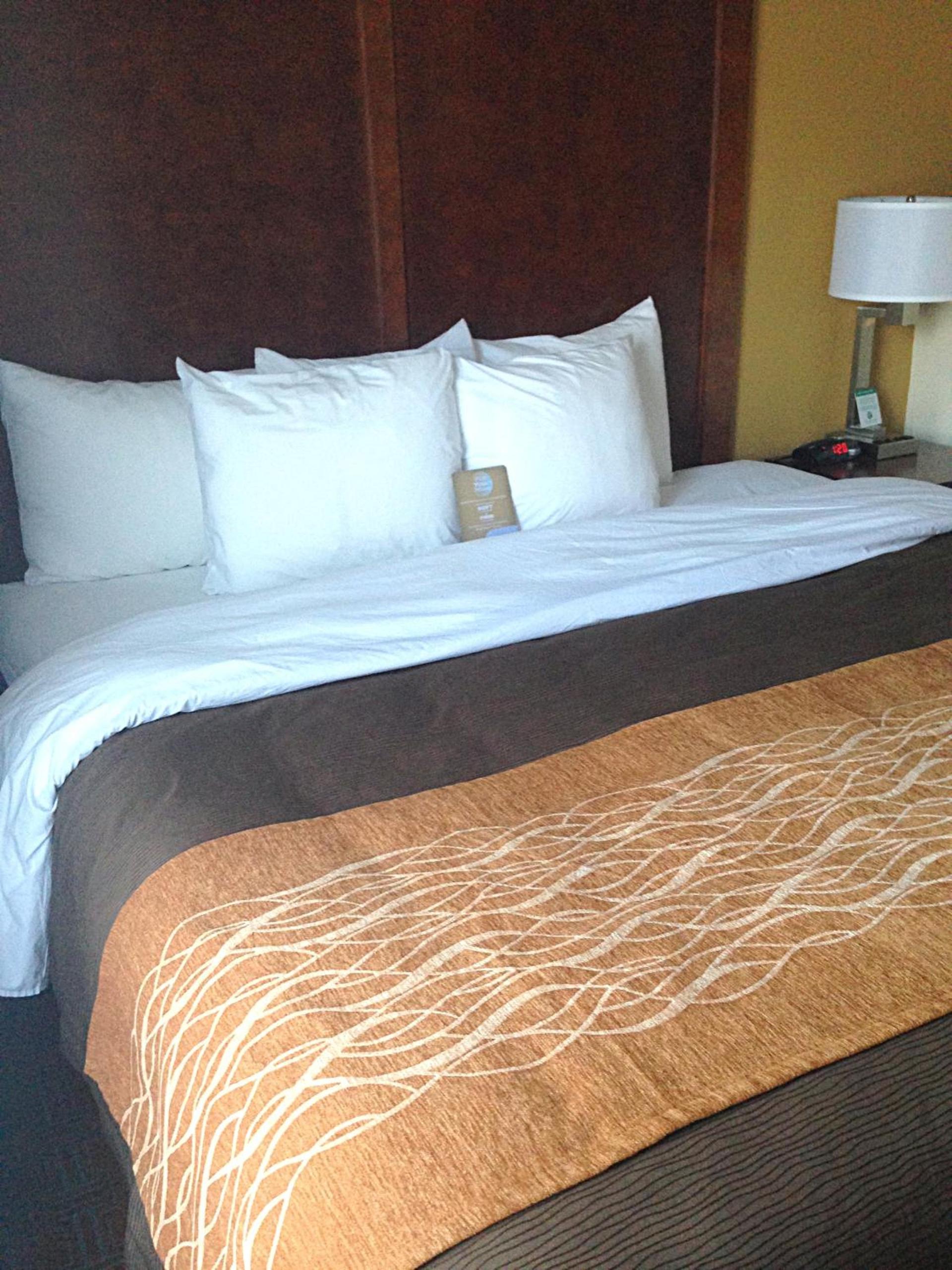 Comfort Inn & Suites Brattleboro I-91 photo 14