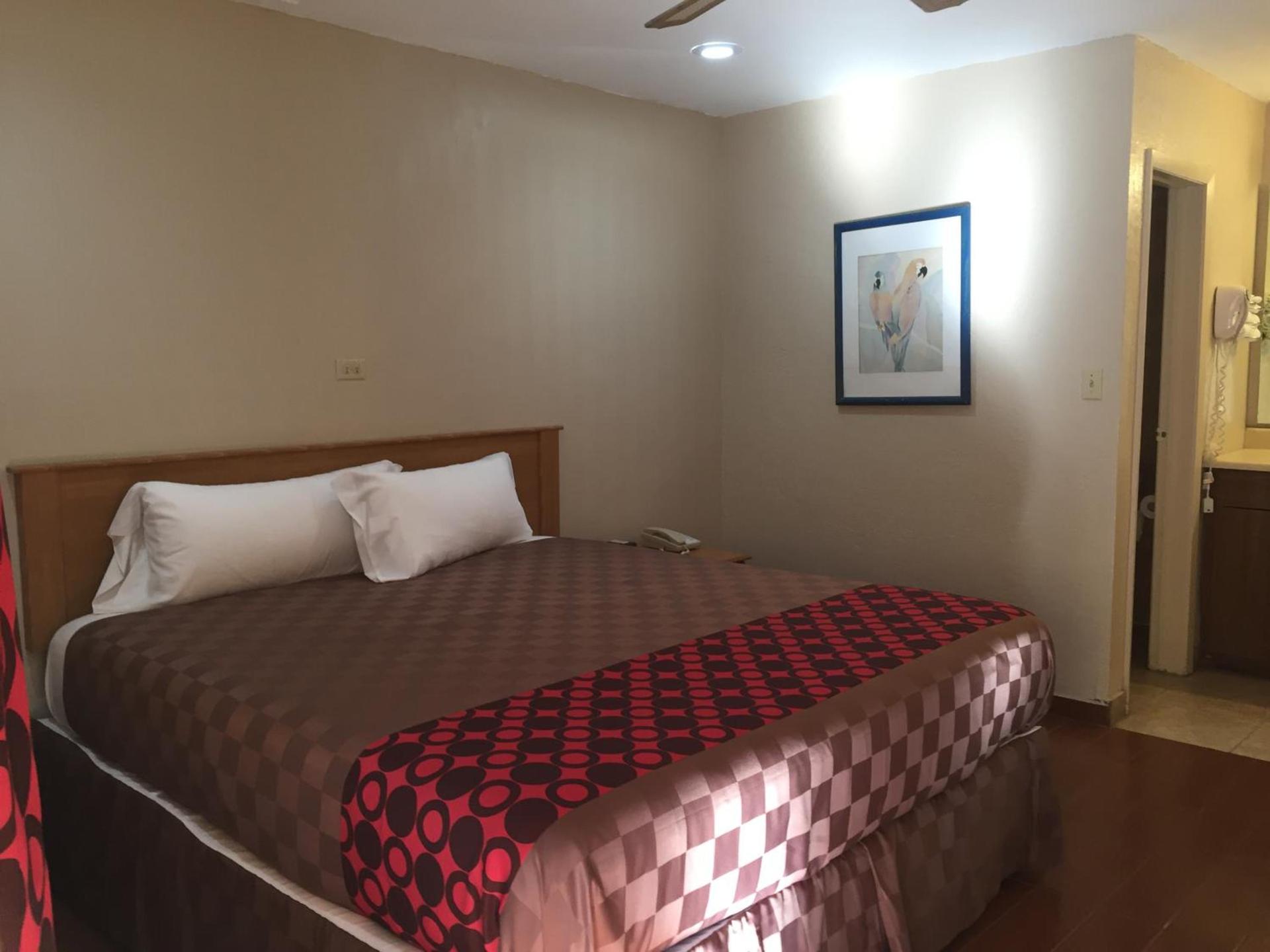 Townhouse Inn and Suites photo 54