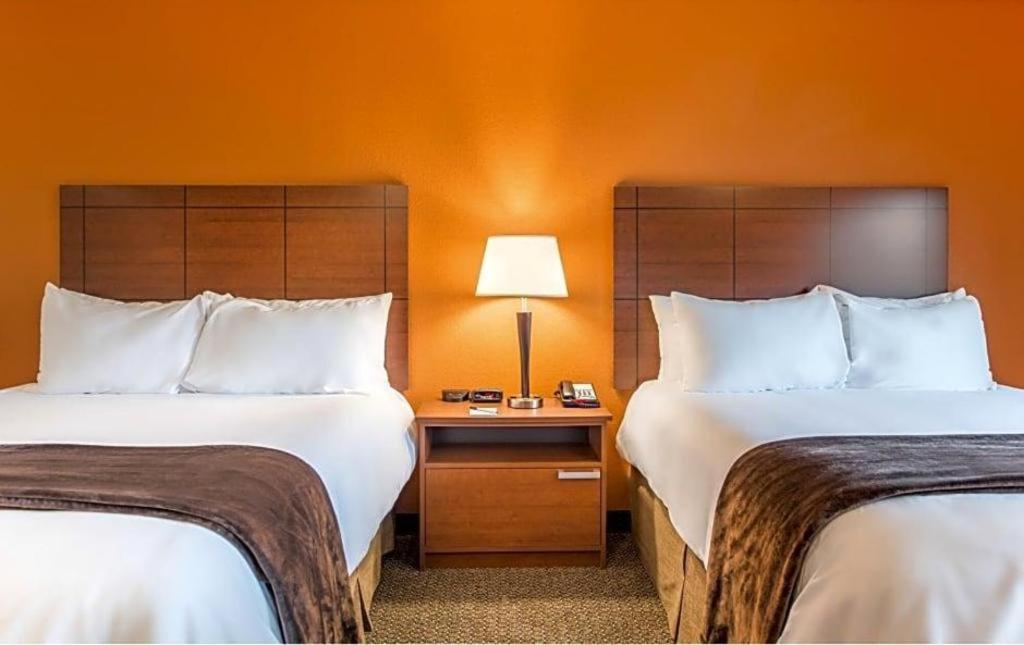 My Place Hotels Chicago West North Aurora photo 18