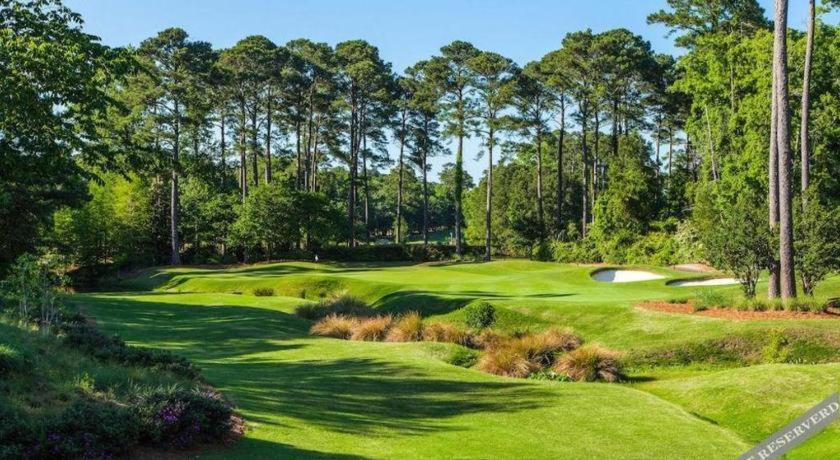 True Blue Golf Resort photo 45