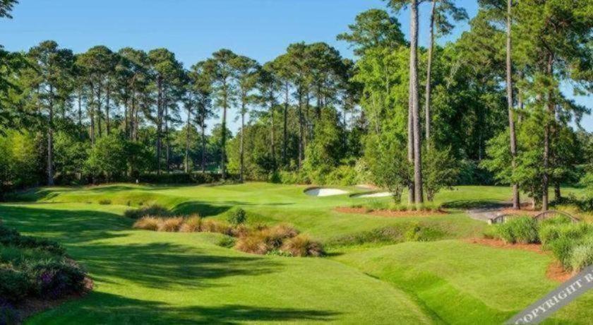 True Blue Golf Resort photo 81