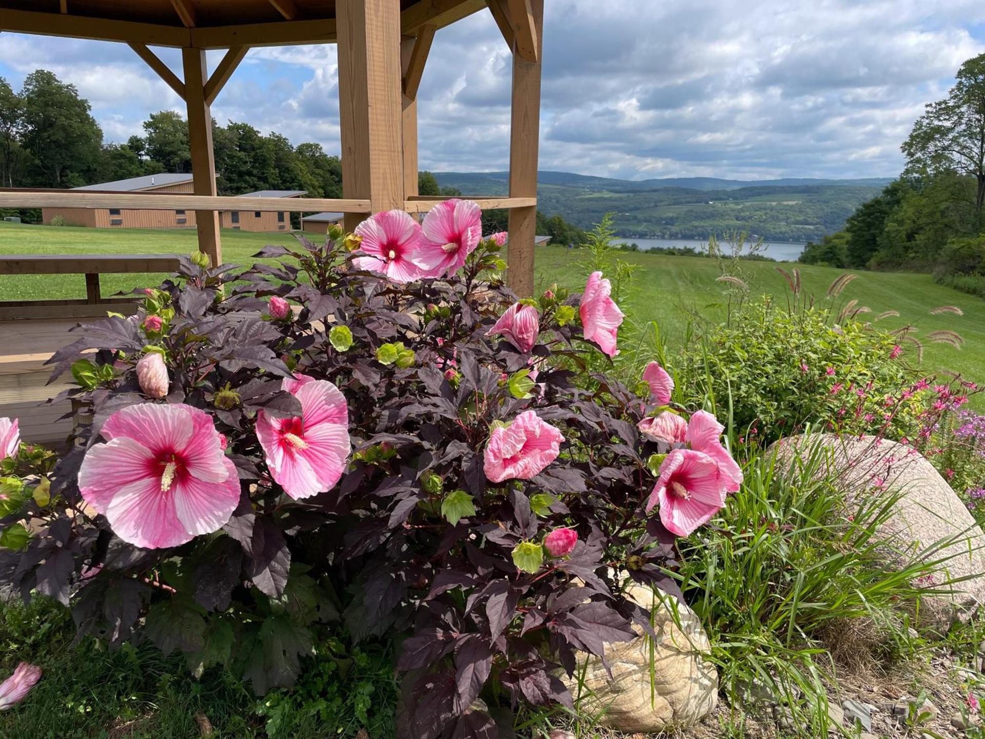 Lakeside Resort photo 61