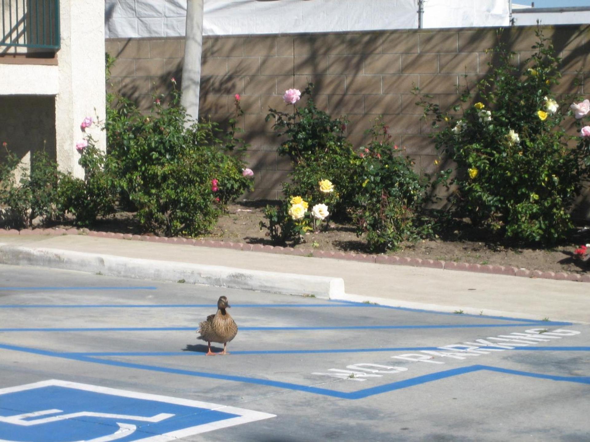 OceanView Motel photo 21