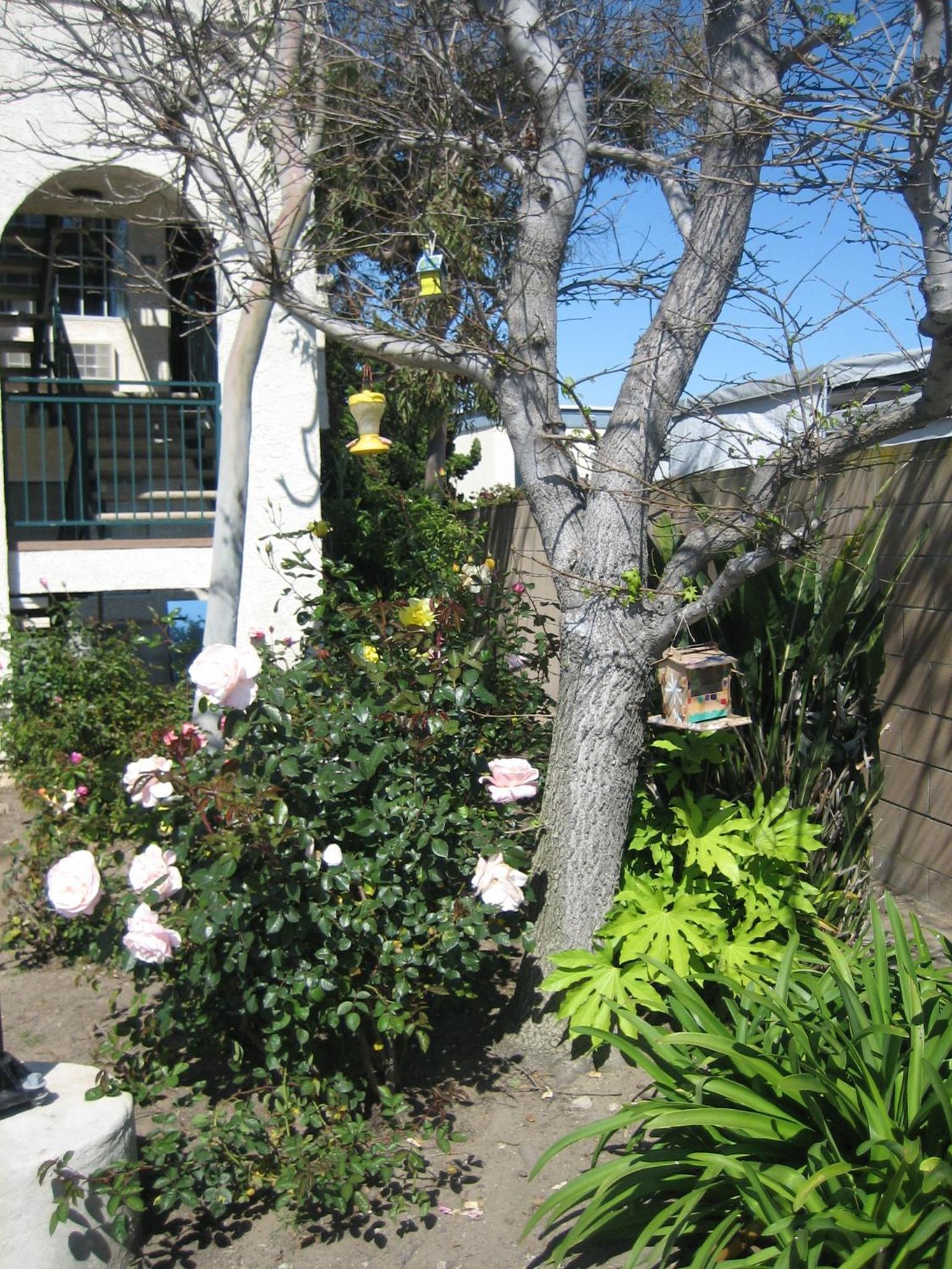 OceanView Motel photo 22