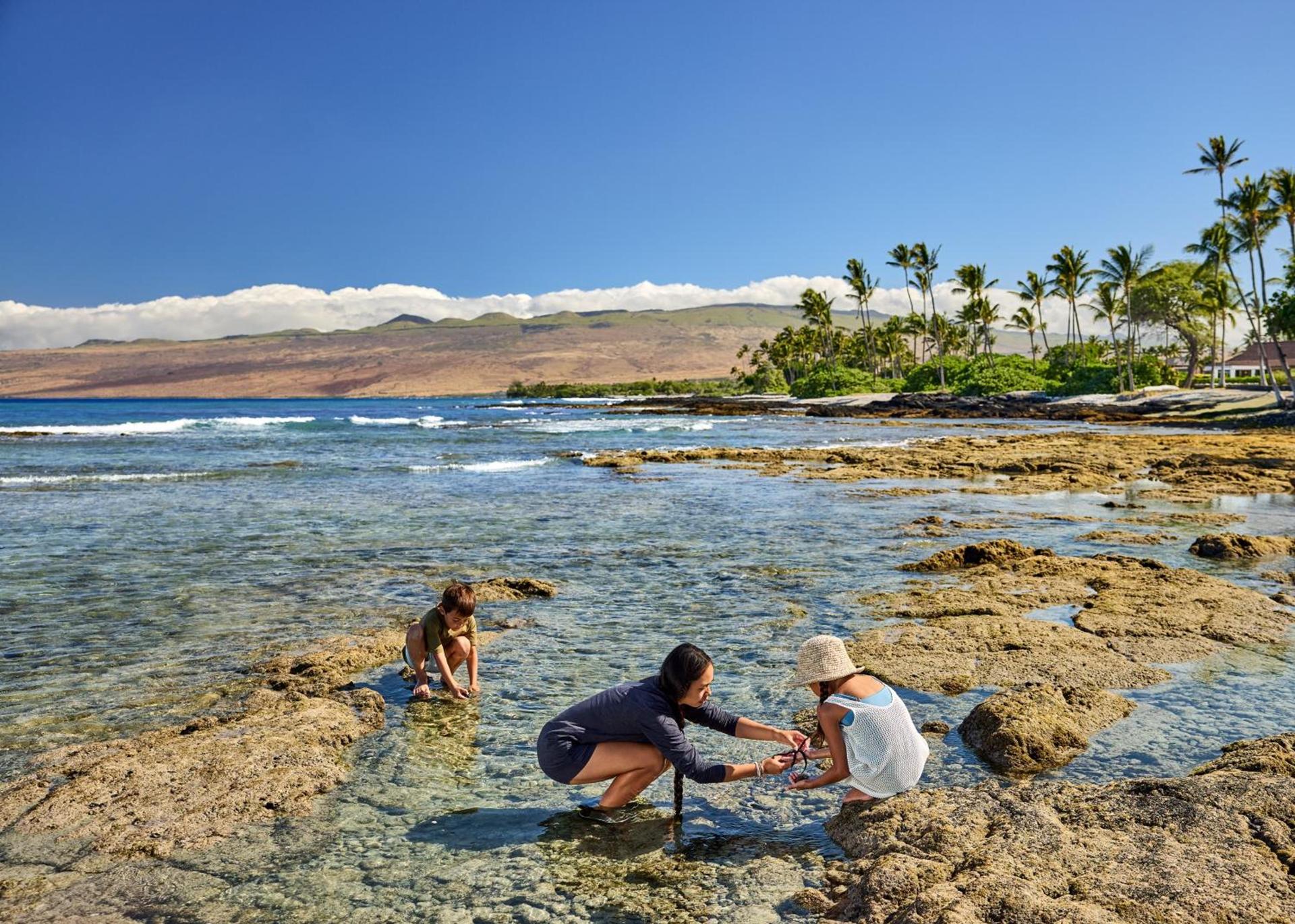 Mauna Lani, Auberge Resorts Collection photo 43