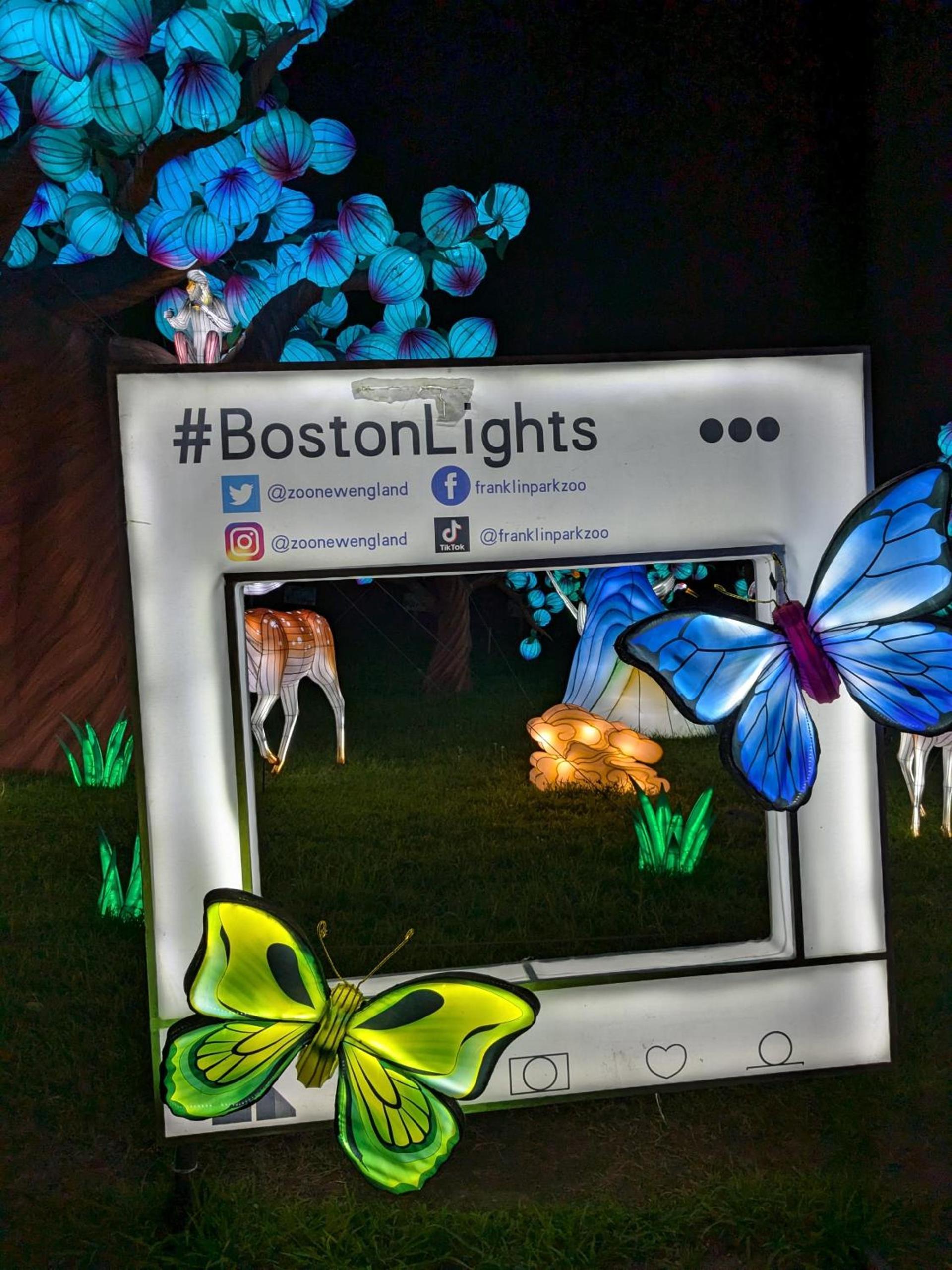 Boston Homestel photo 29