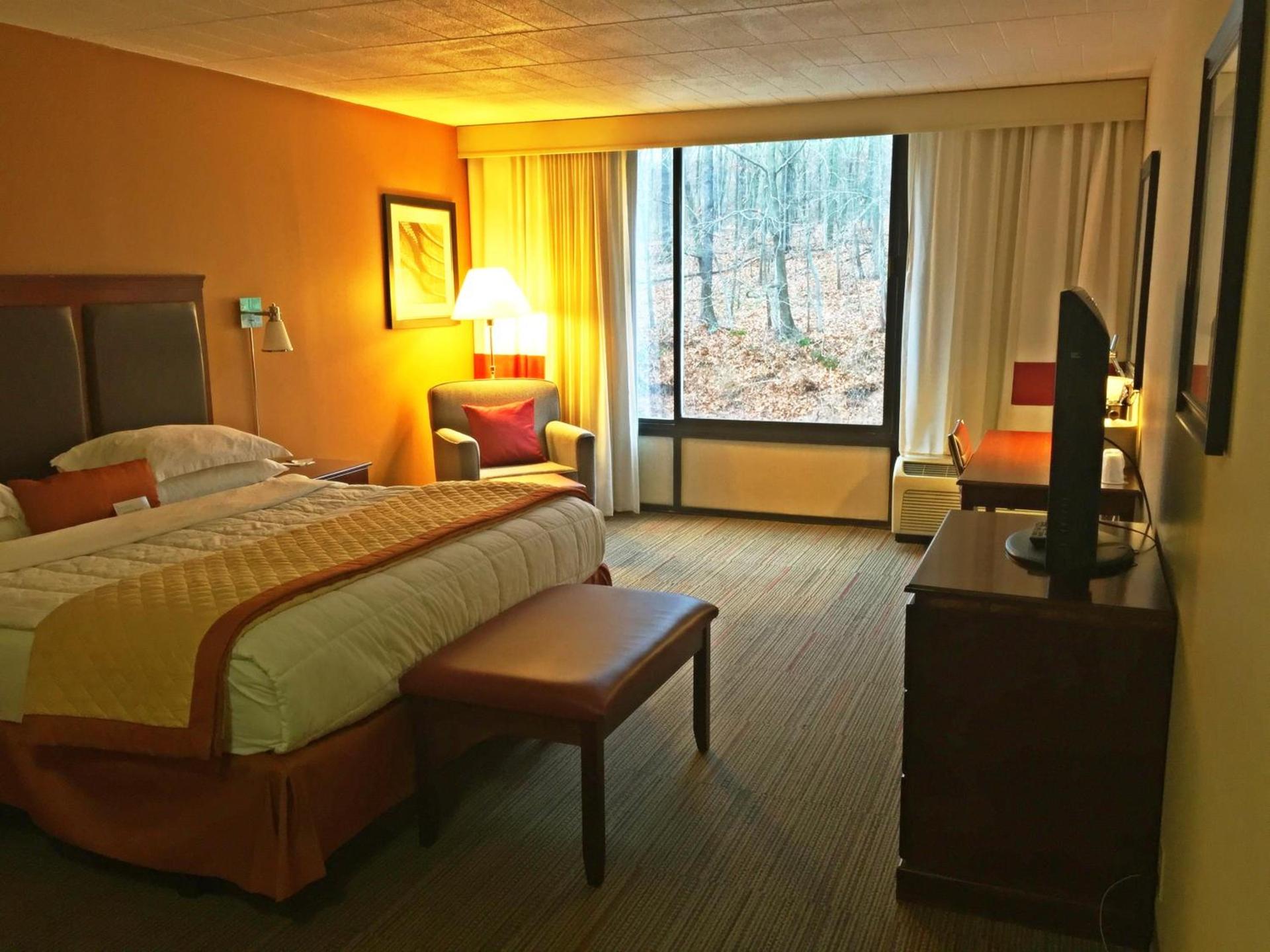 Wyndham Garden Inn Pittsburgh Airport photo 46