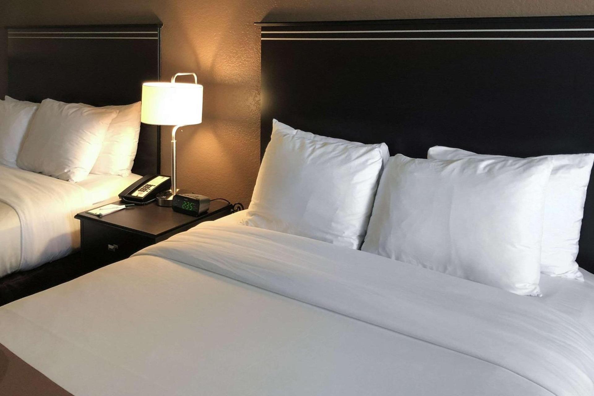 Quality Inn & Suites Denver International Airport photo 25