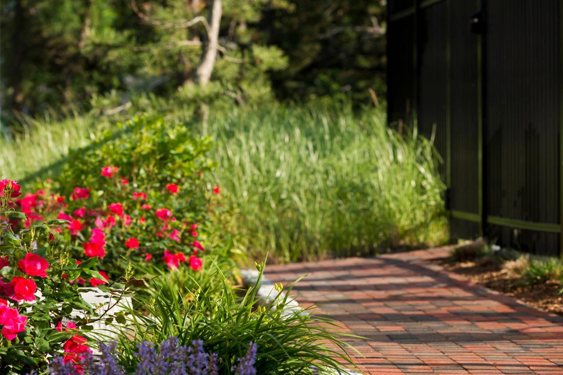 Wellfleet Lodge photo 13