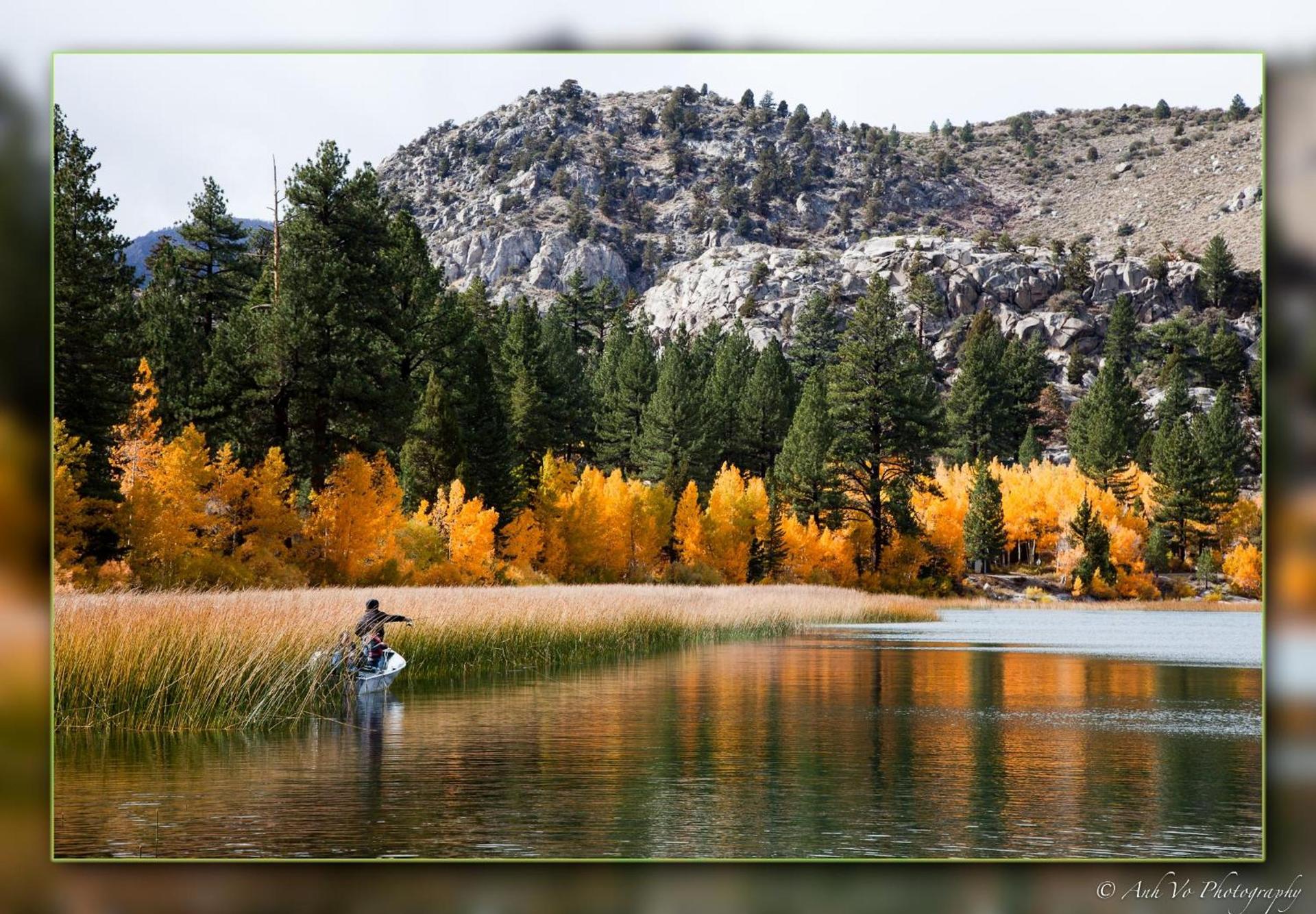 Lake Front Cabins photo 13